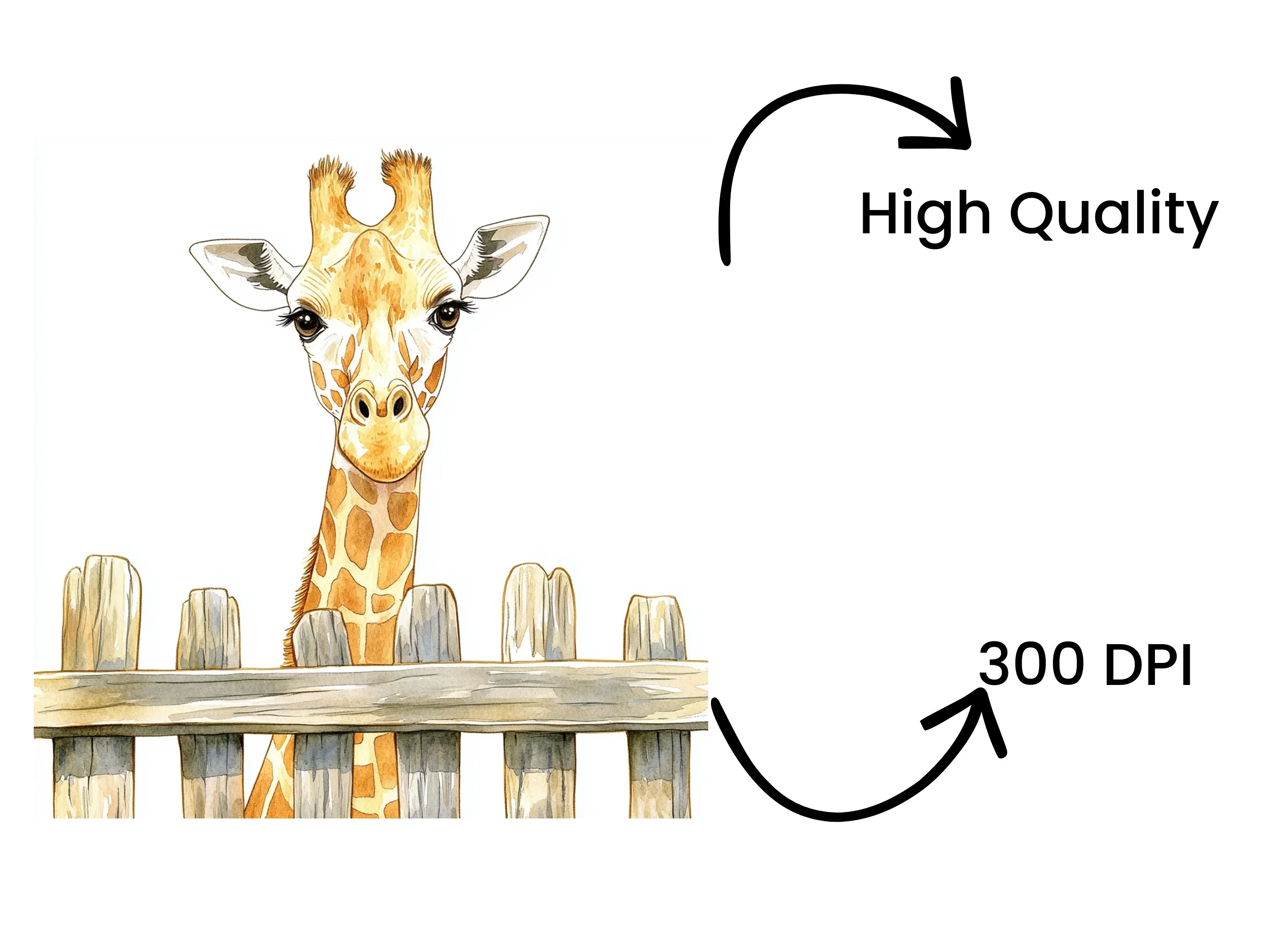 Cute Giraffe Peeking Over Fence Clipart Bundle - Image 4