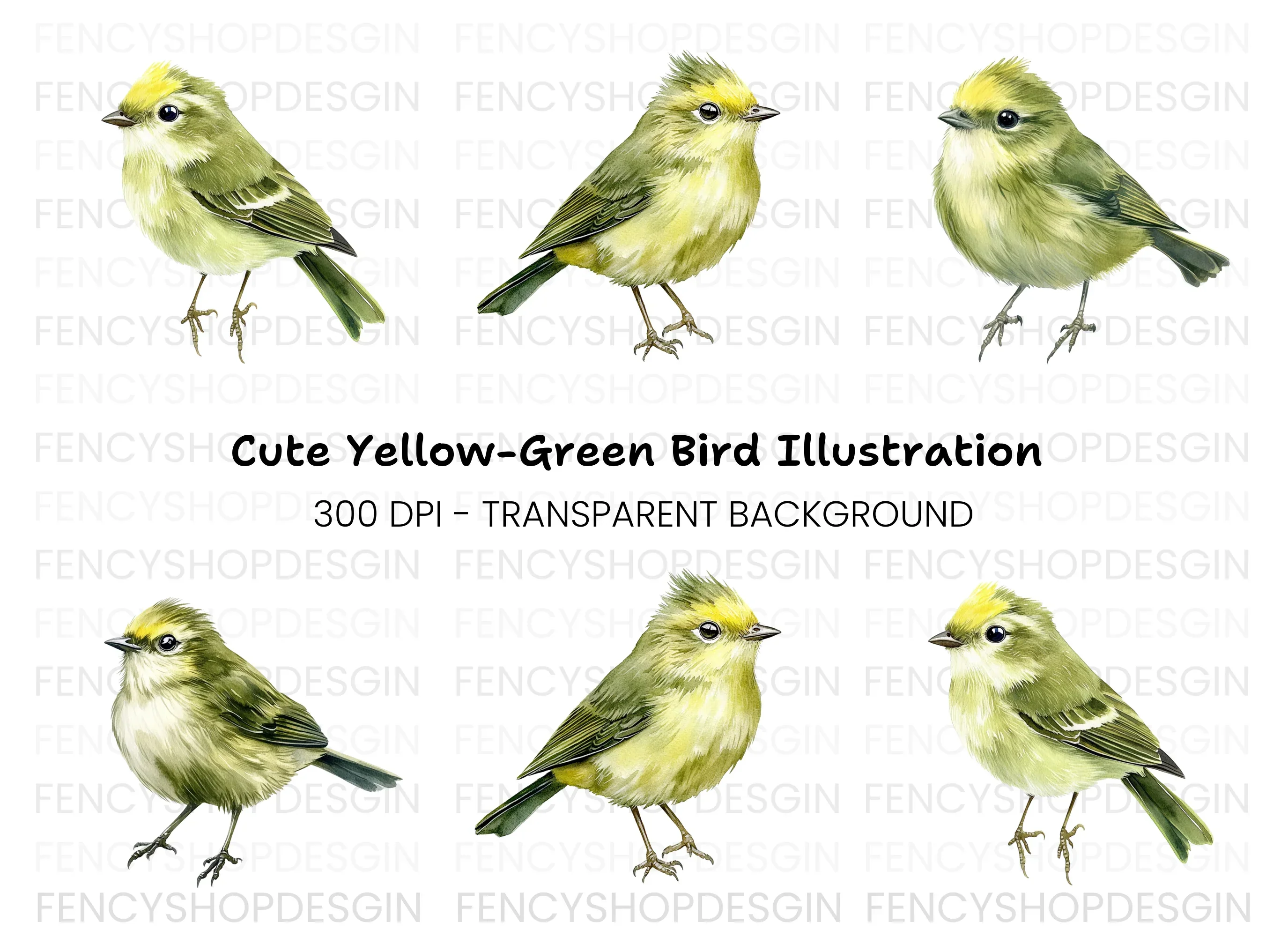 Cute Green Bird Clipart Bundle