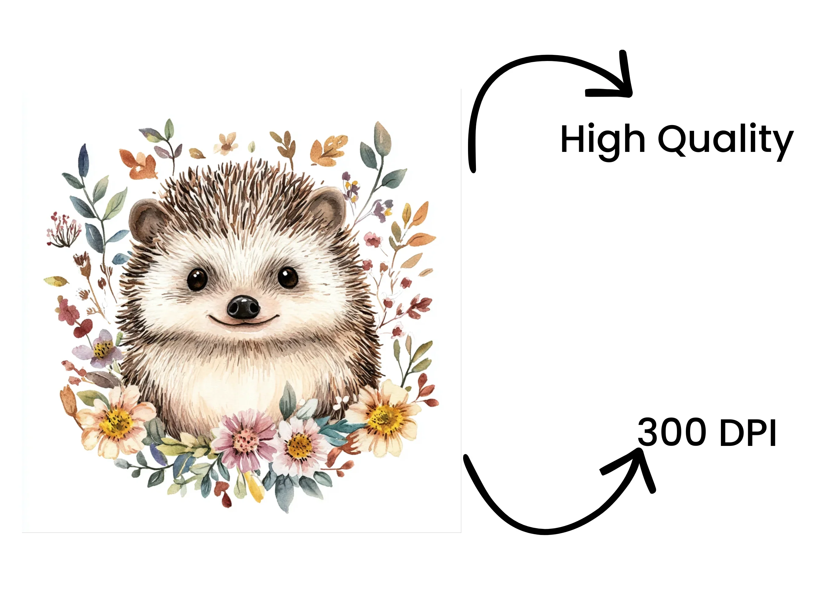 Cute Hedgehog Clipart Bundle - Image 4