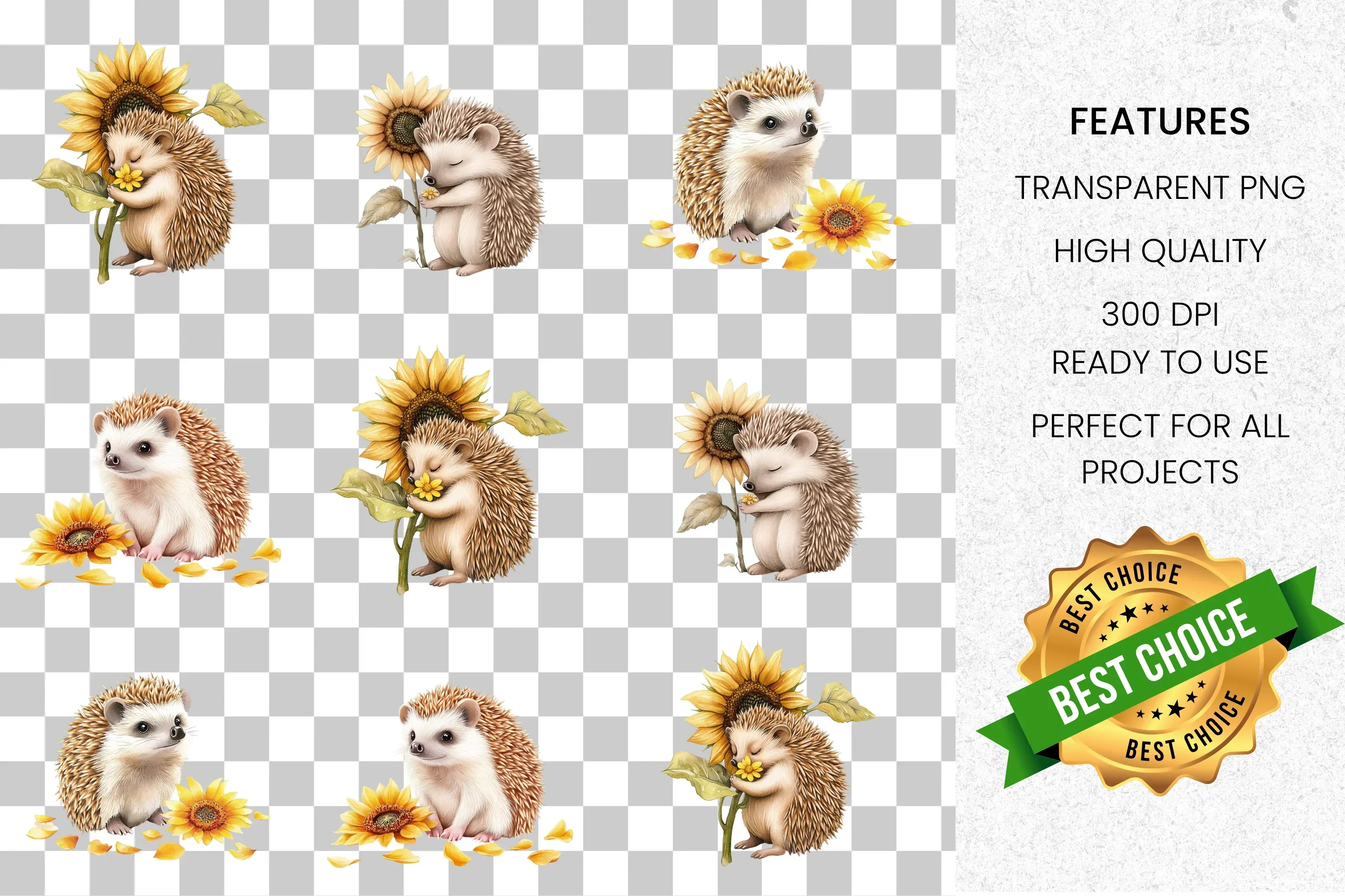 Cute Hedgehog Sunflower Clipart Bundle - Image 2