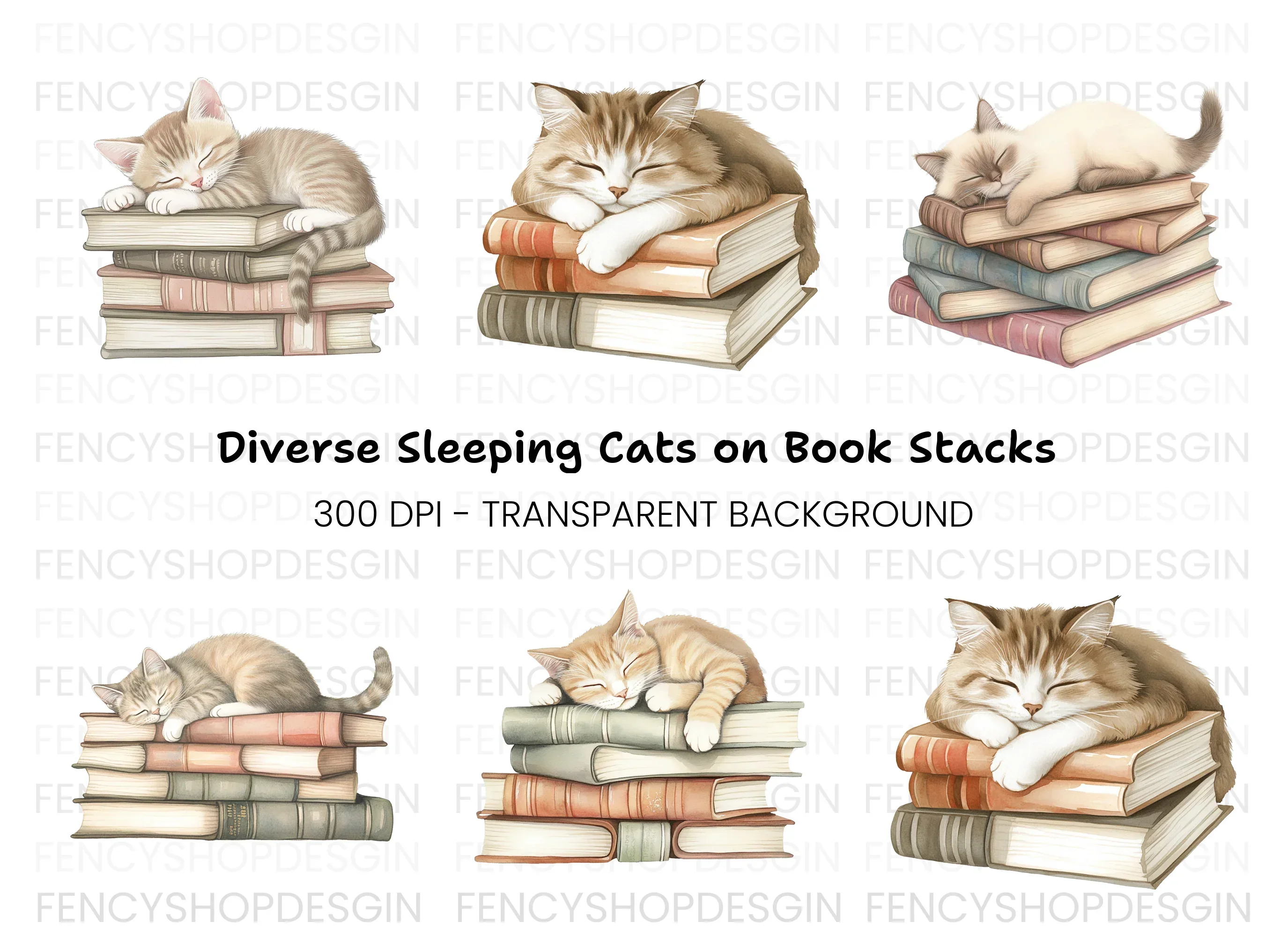 Cute Kittens Napping on Book Stacks Clipart Bundle