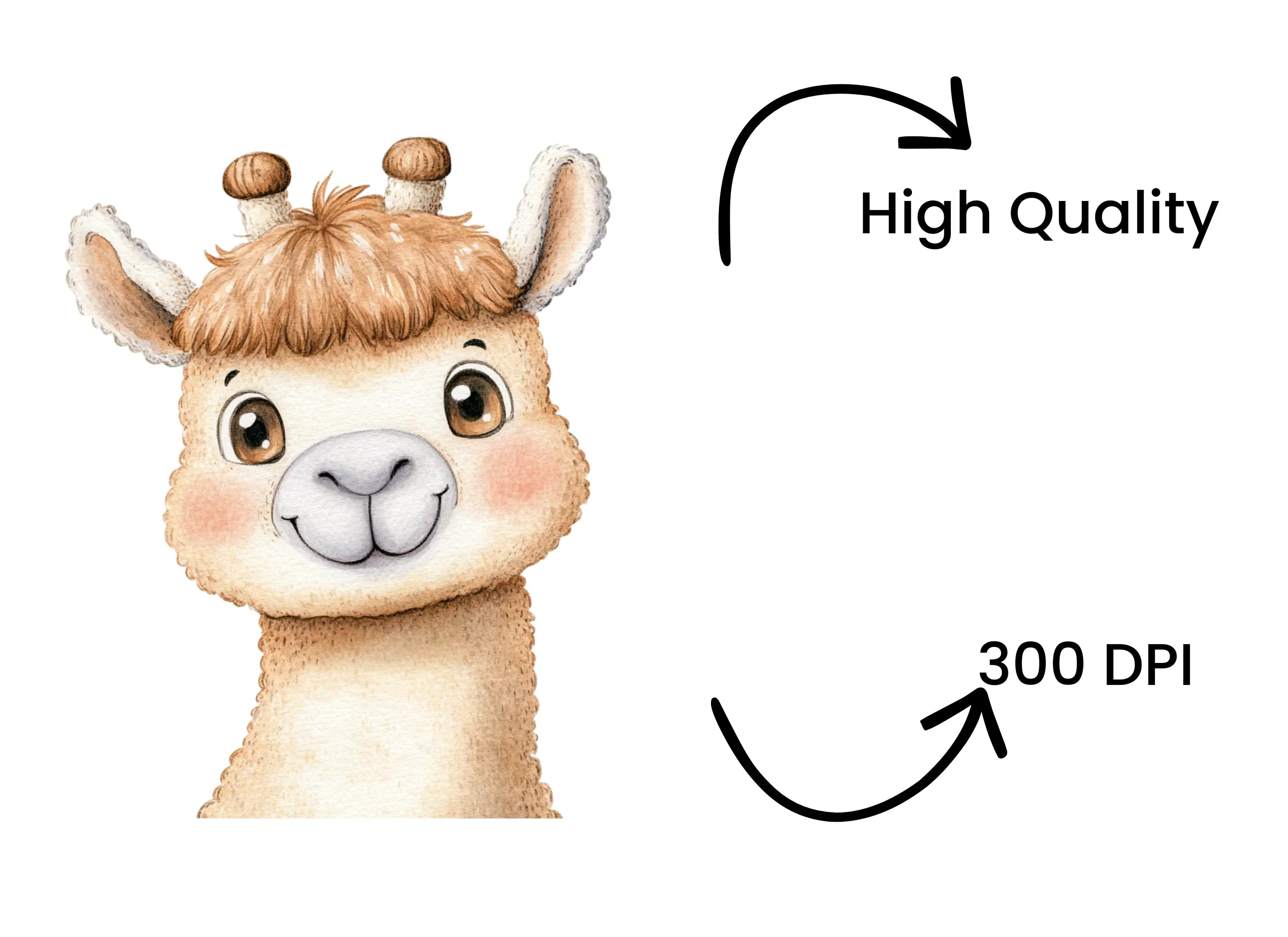 Cute Llama Clipart Bundle - Image 4