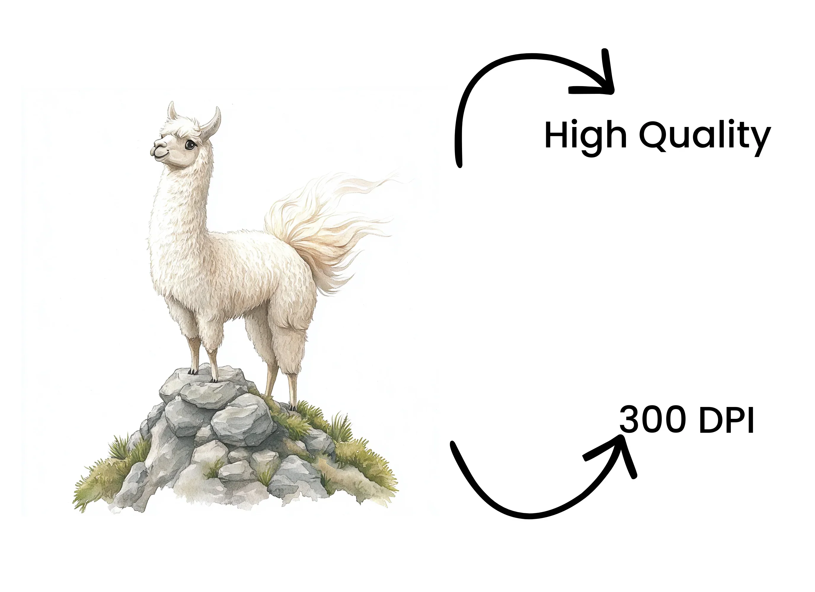 Cute Llama Clipart Bundle - Image 4