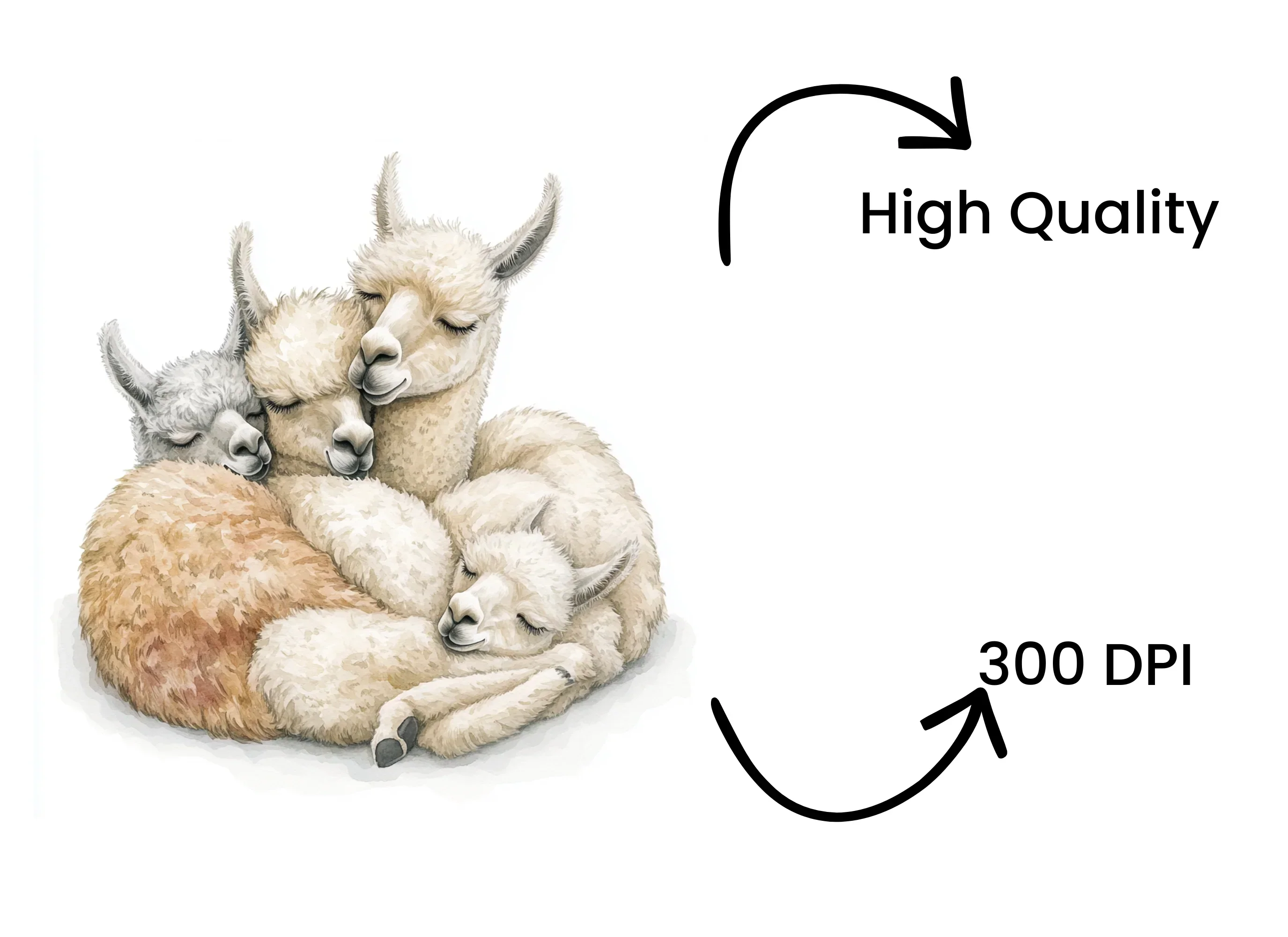 Cute Sleeping Baby Llamas Clipart Bundle - Image 4