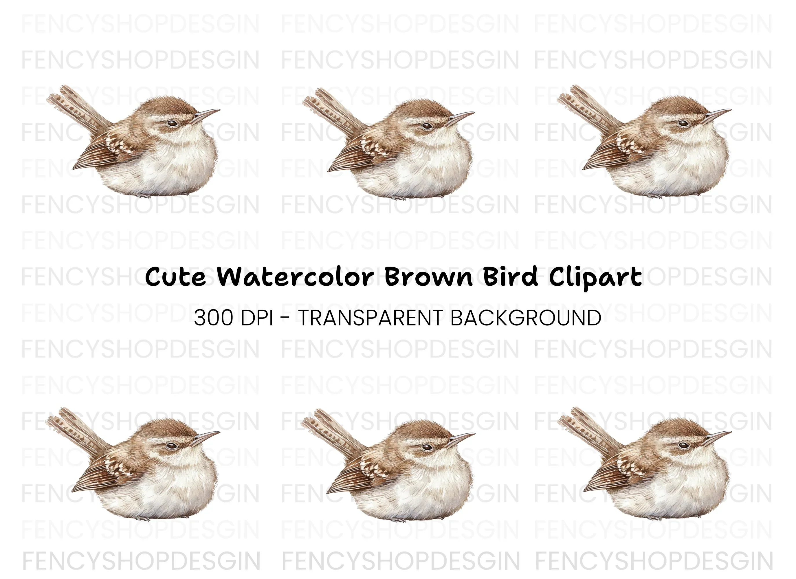 Cute Wren Bird Clipart Bundle