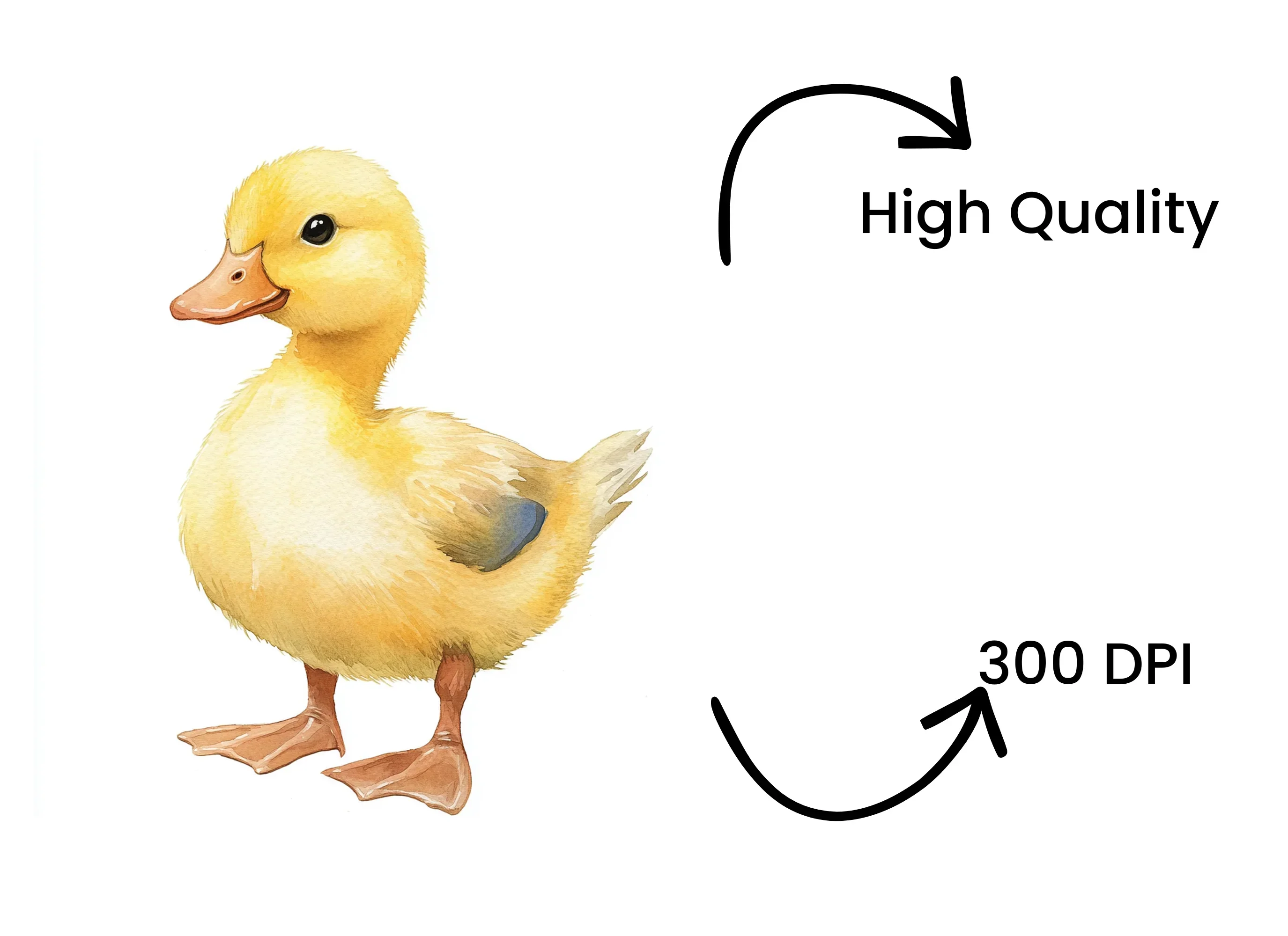 Cute Yellow Duckling Clipart Bundle - Image 4