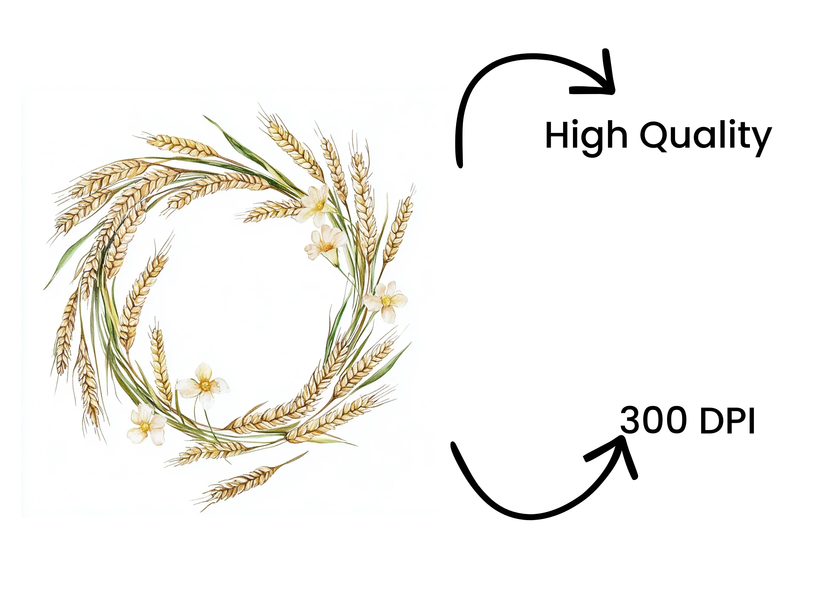 Daisy and Wheat Wreath Clipart Bundle - Image 4