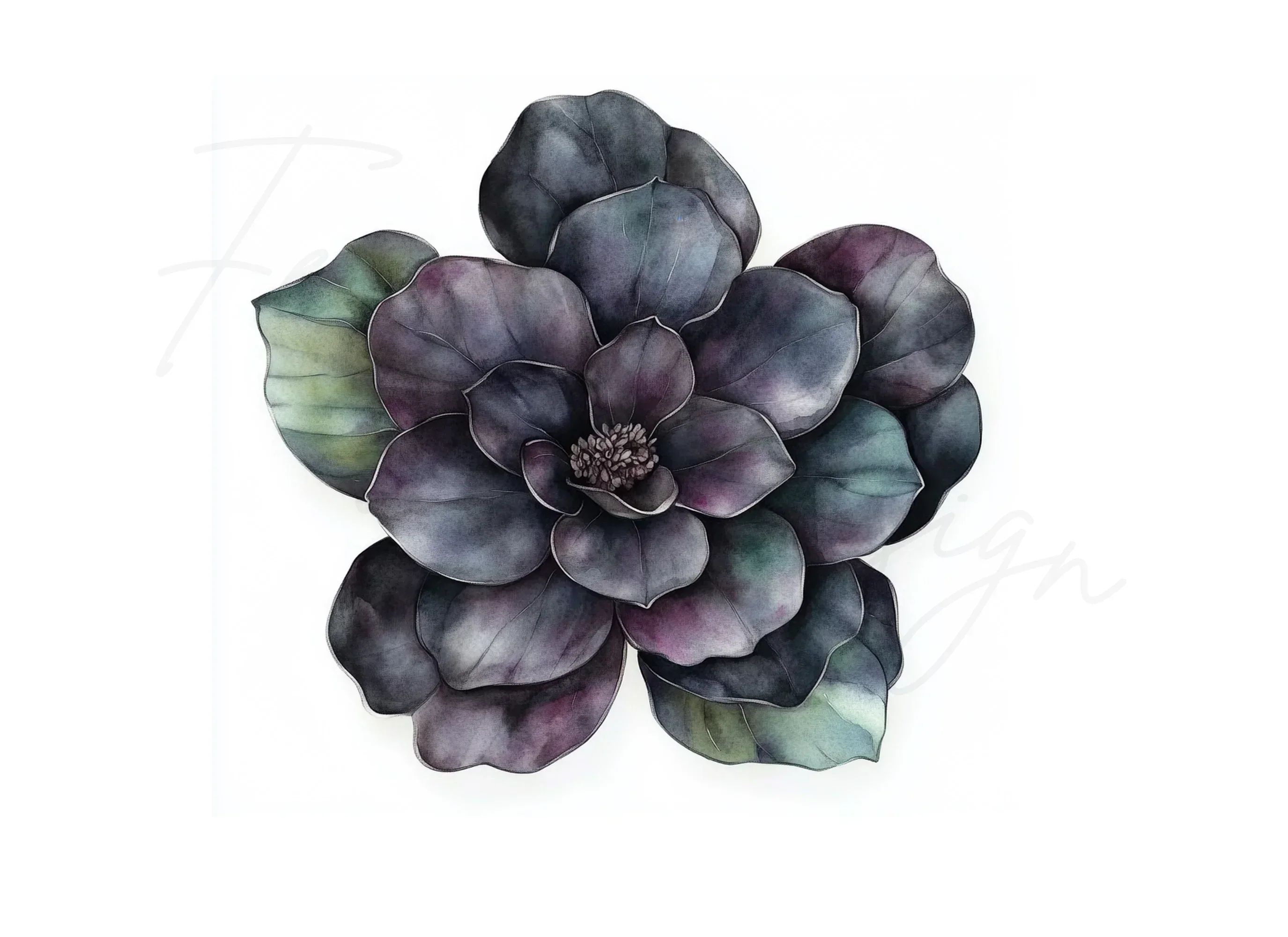 Dark Floral Clipart Bundle - Image 2