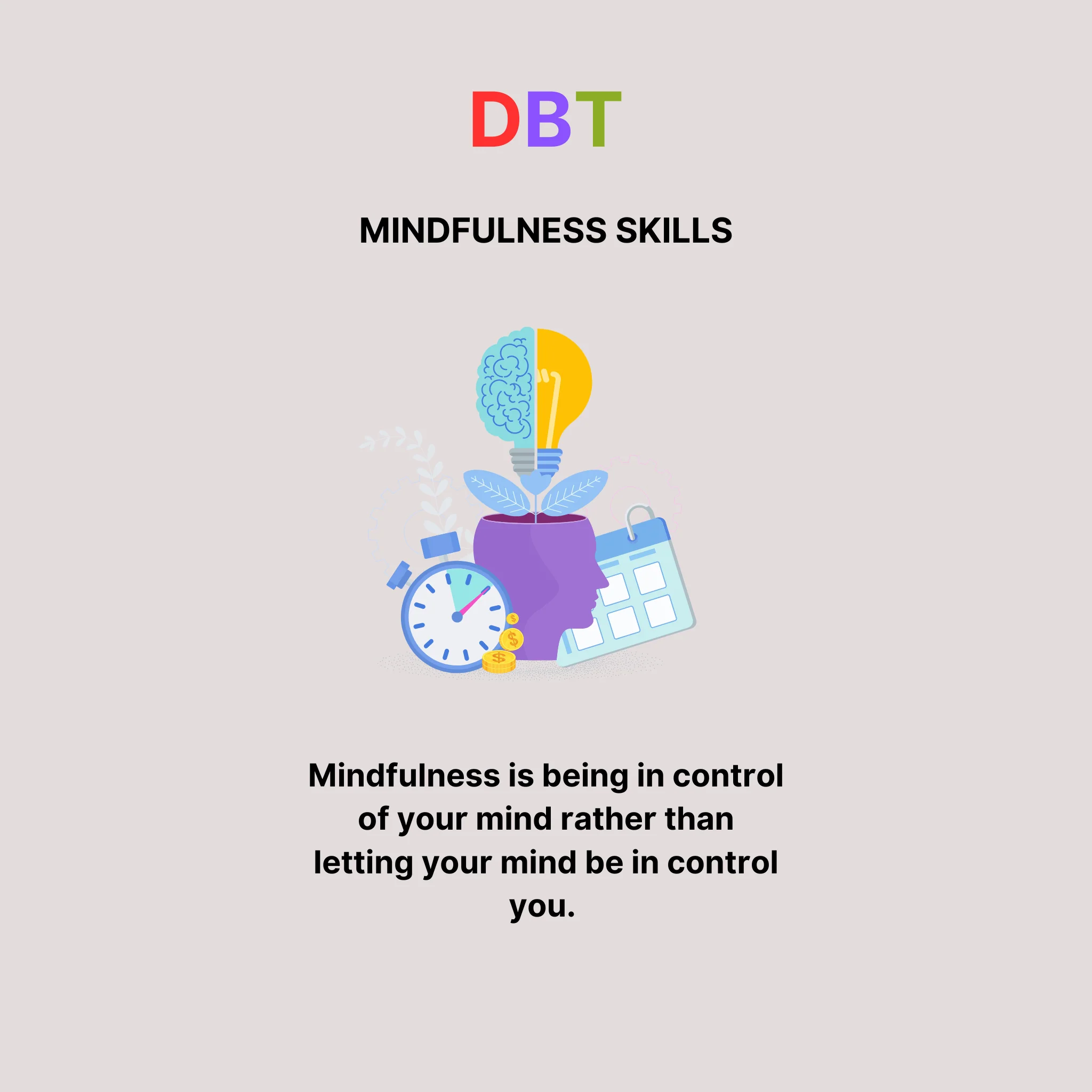 DBT Bundle - Image 3