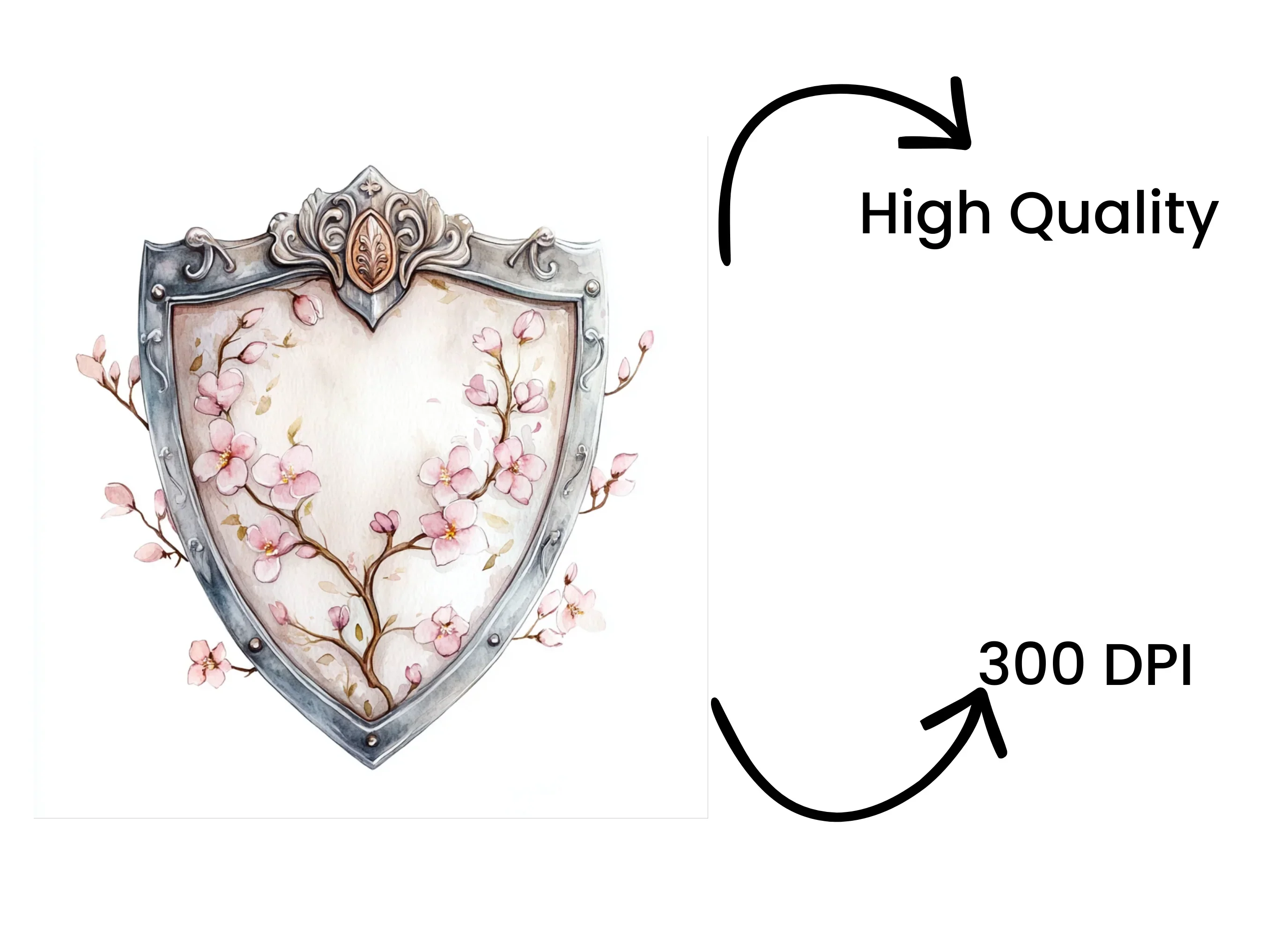 Decorative Floral Shields Clipart Bundle - Image 4