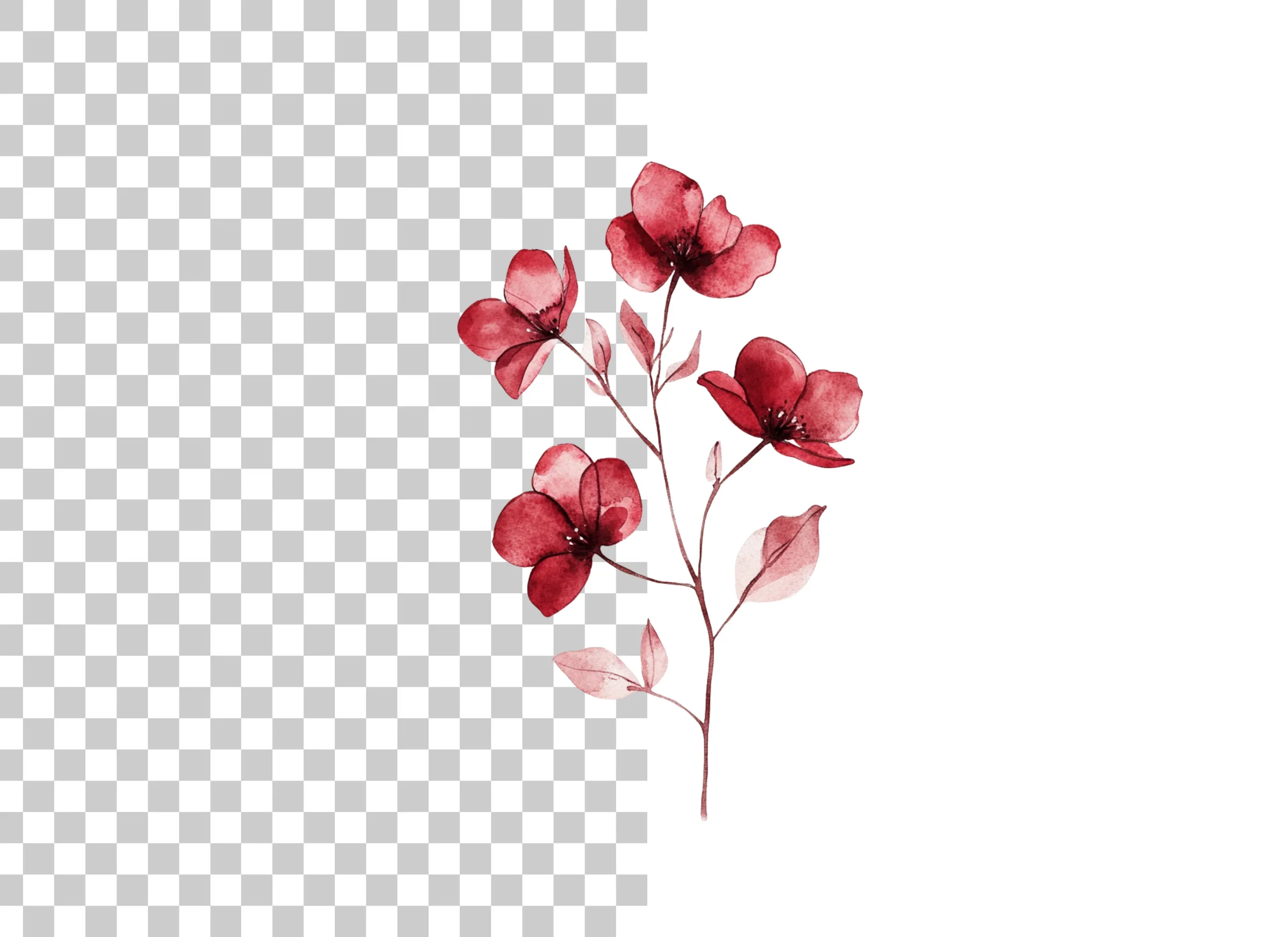 Deep Red Botanical Clipart Bundle - Image 2