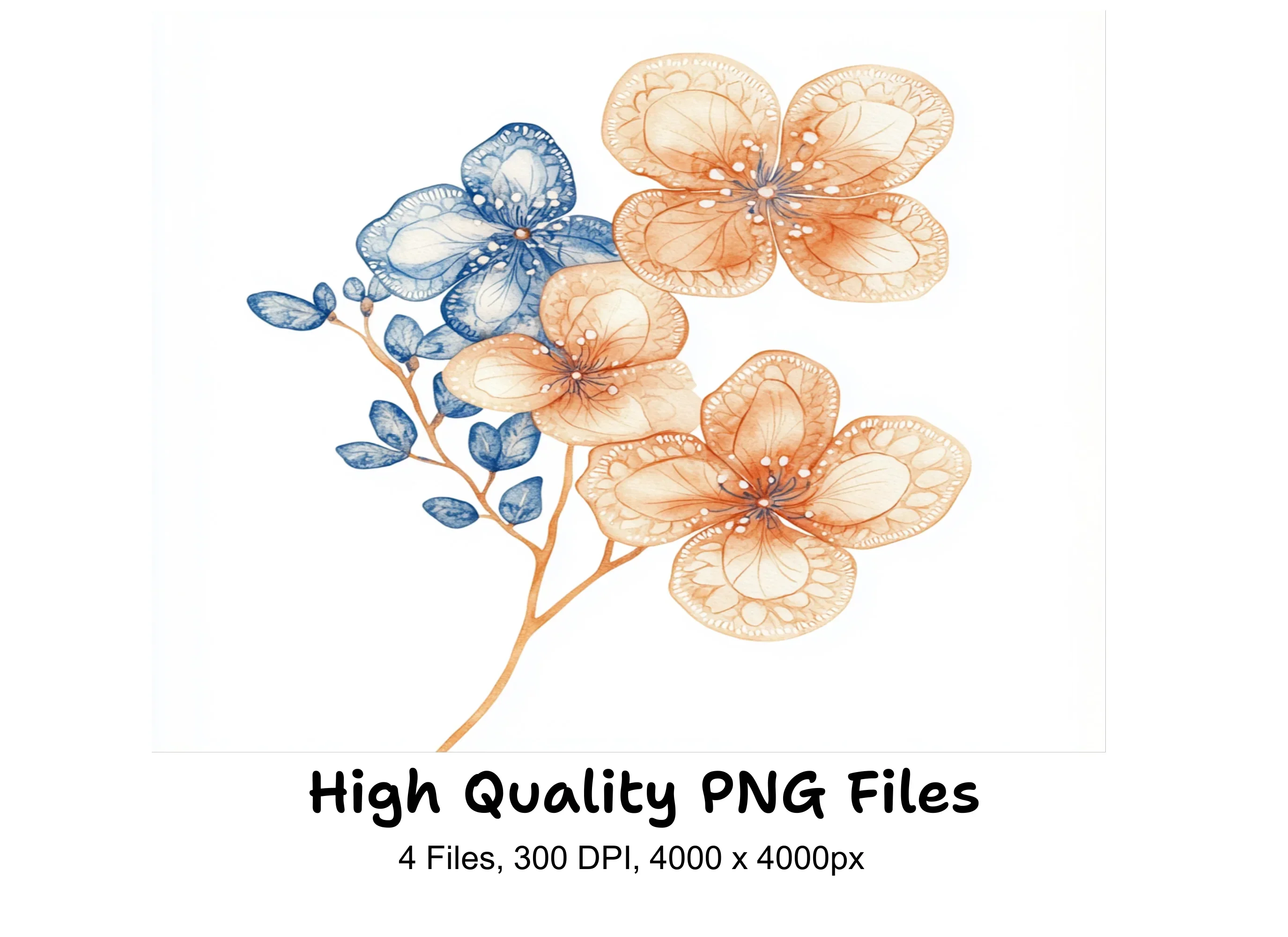 Delicate Lace Flower Clipart Bundle