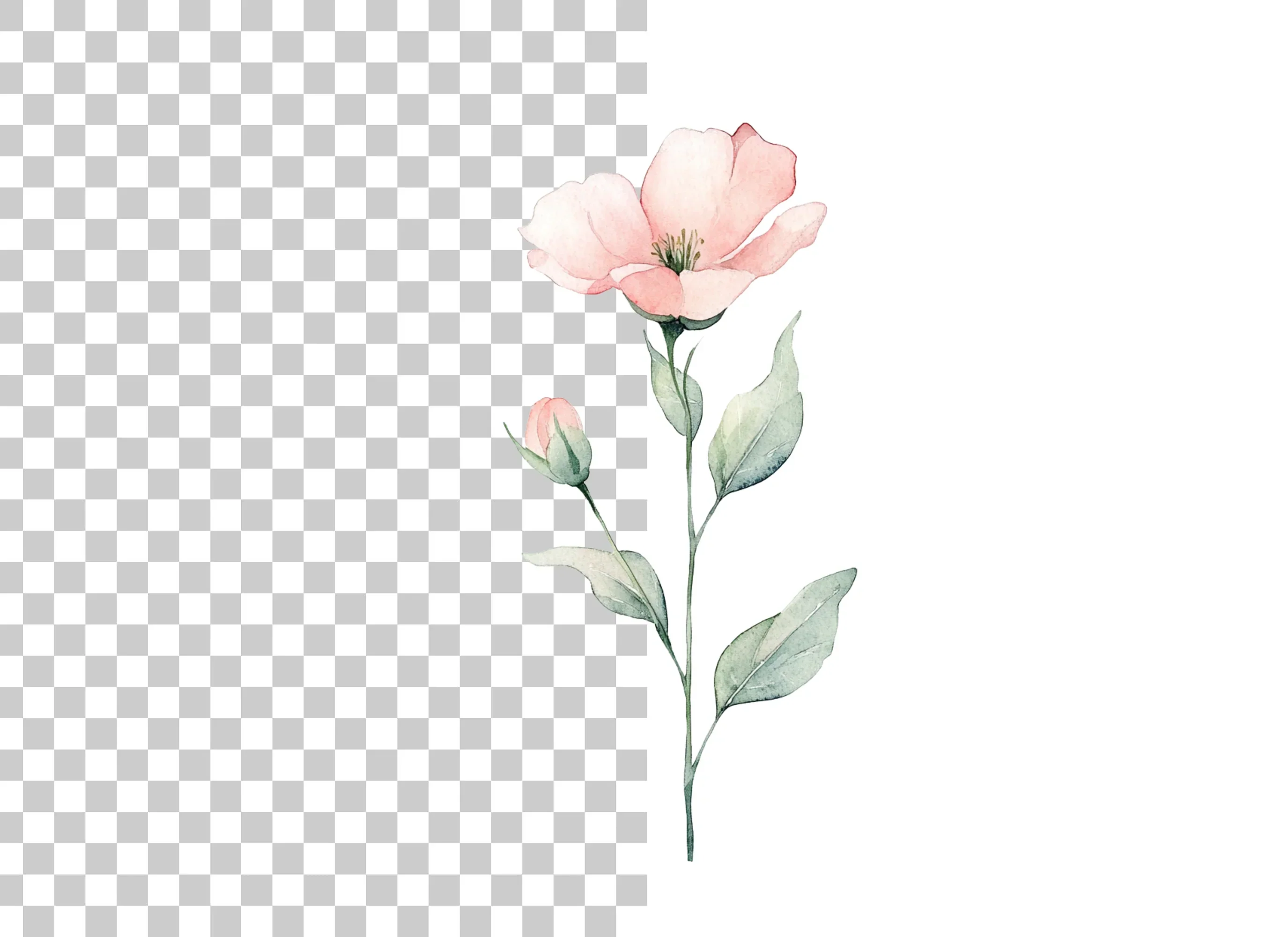 Delicate Pink Flower Clipart Bundle - Image 6