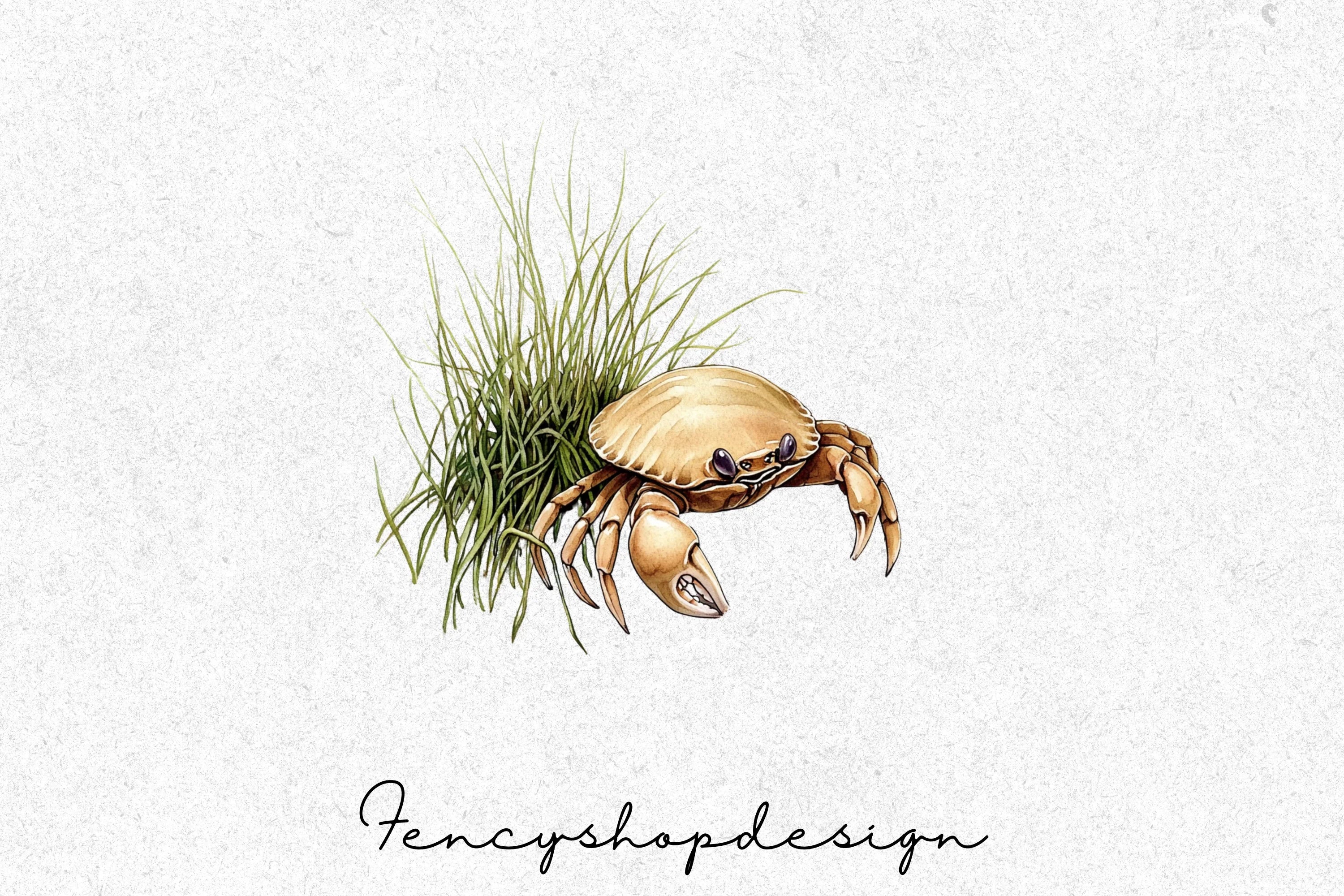 Desert Dunes and Beach Crab Clipart Bundle - Image 7