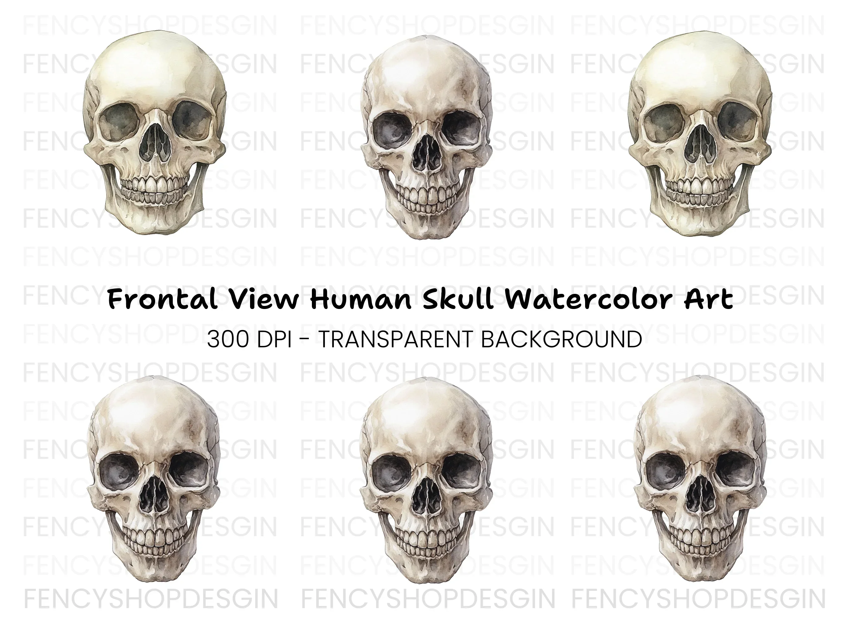Detailed Human Skull Clipart Bundle