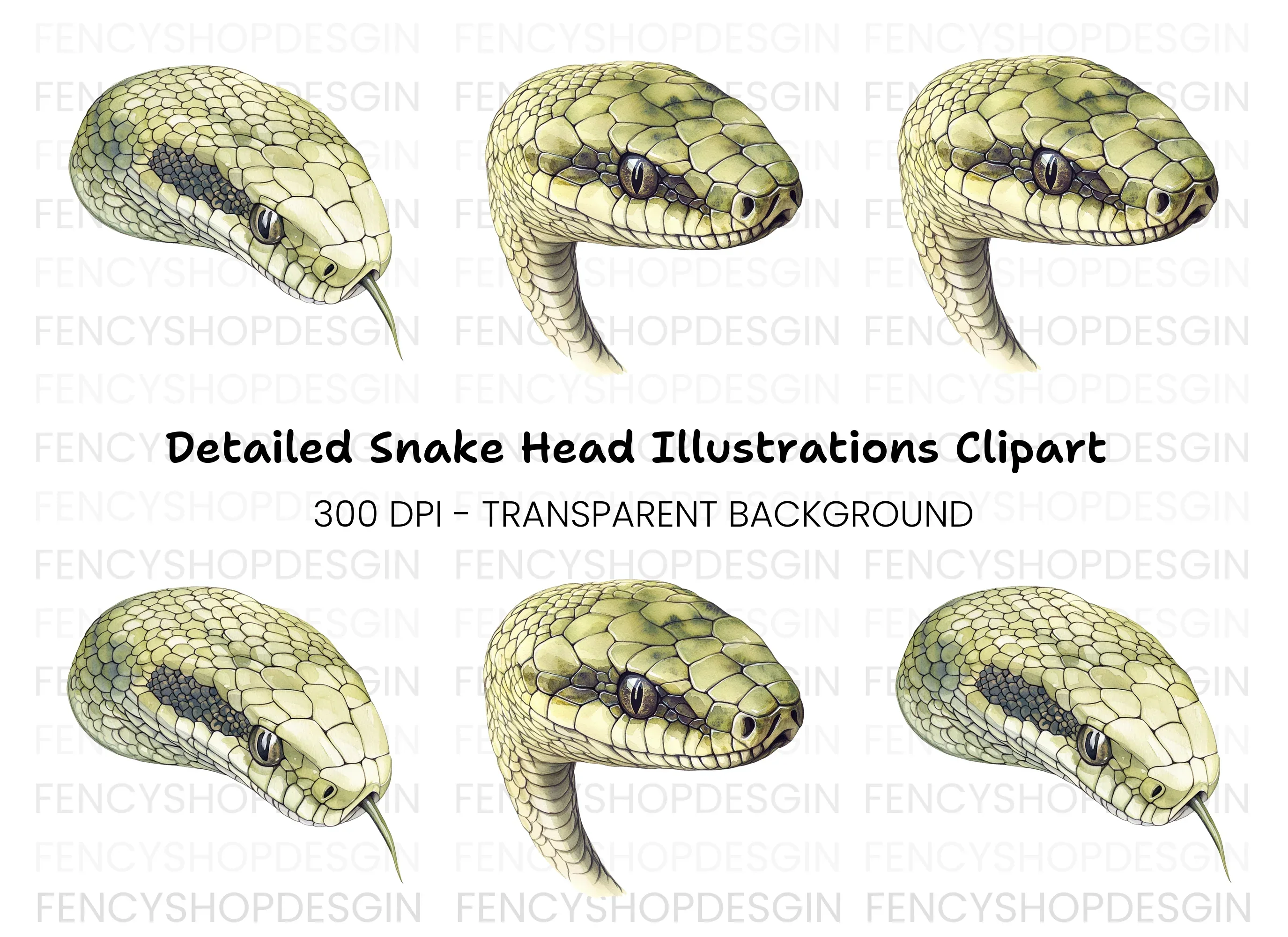 Detailed Snake Head Clipart Bundle