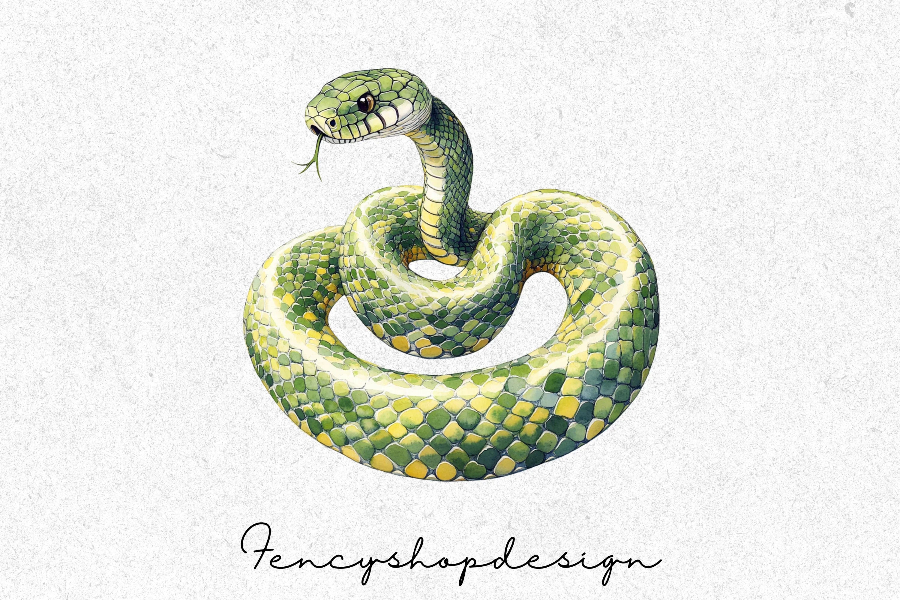 Diverse Snake Reptile Wildlife Clipart Bundle - Image 4