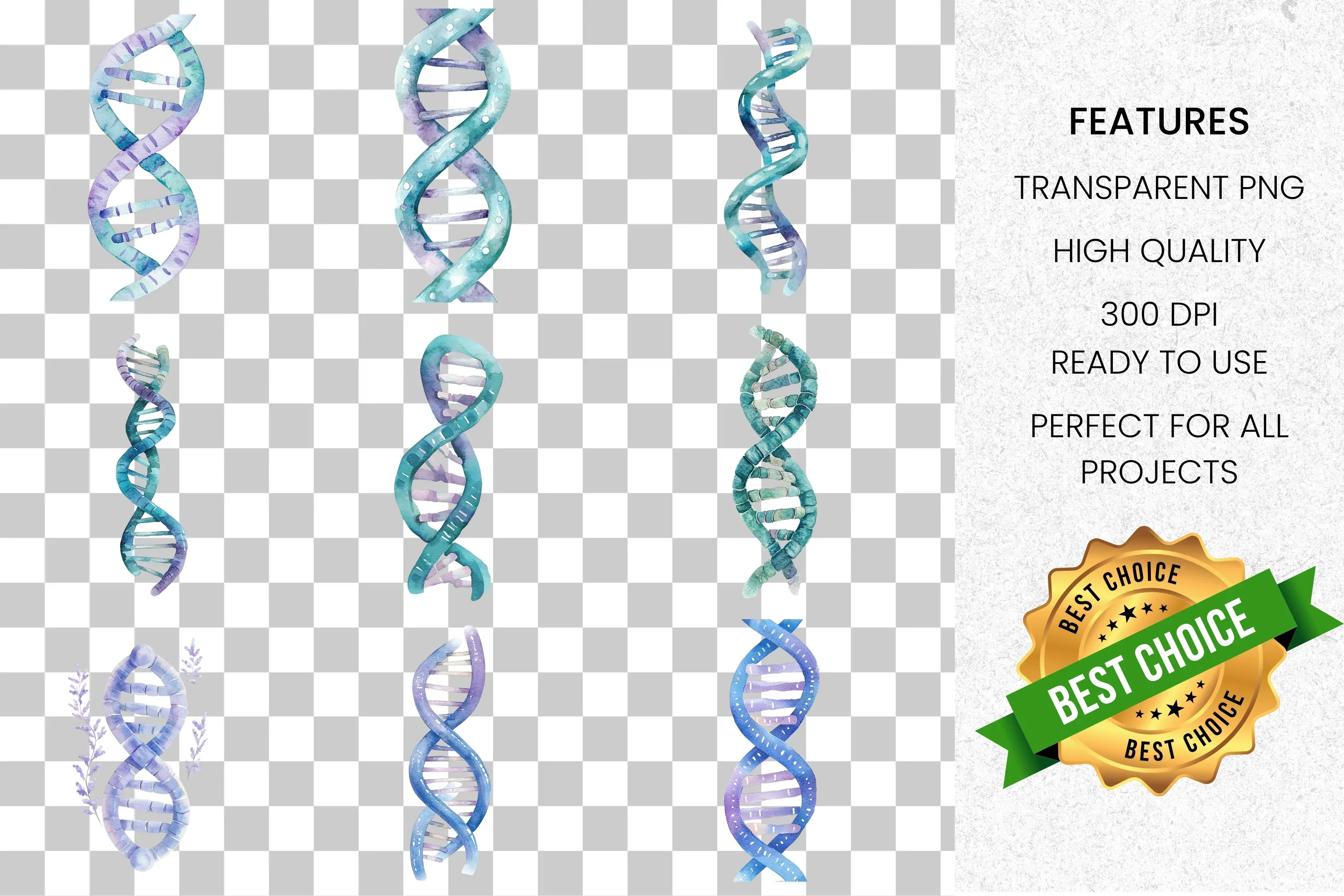 DNA Helix Science Clipart Bundle - Image 8