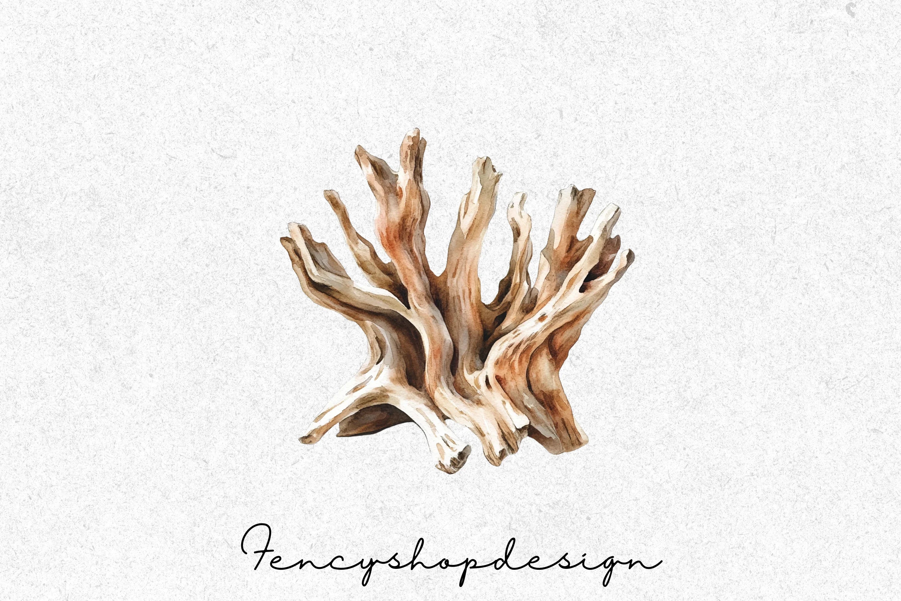 Driftwood Clipart Bundle - Image 3