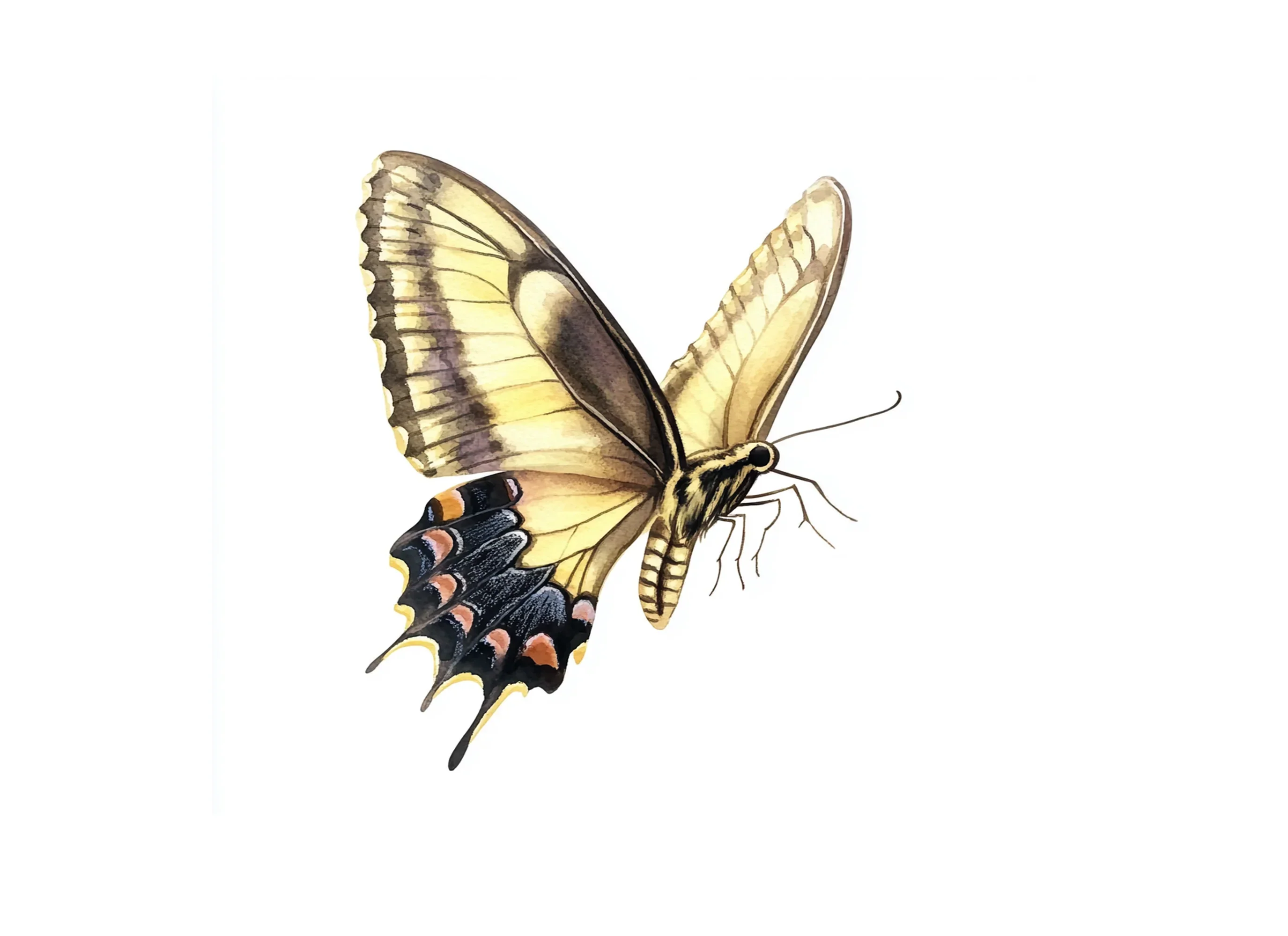 Dynamic Butterfly Clipart Bundle - Image 2