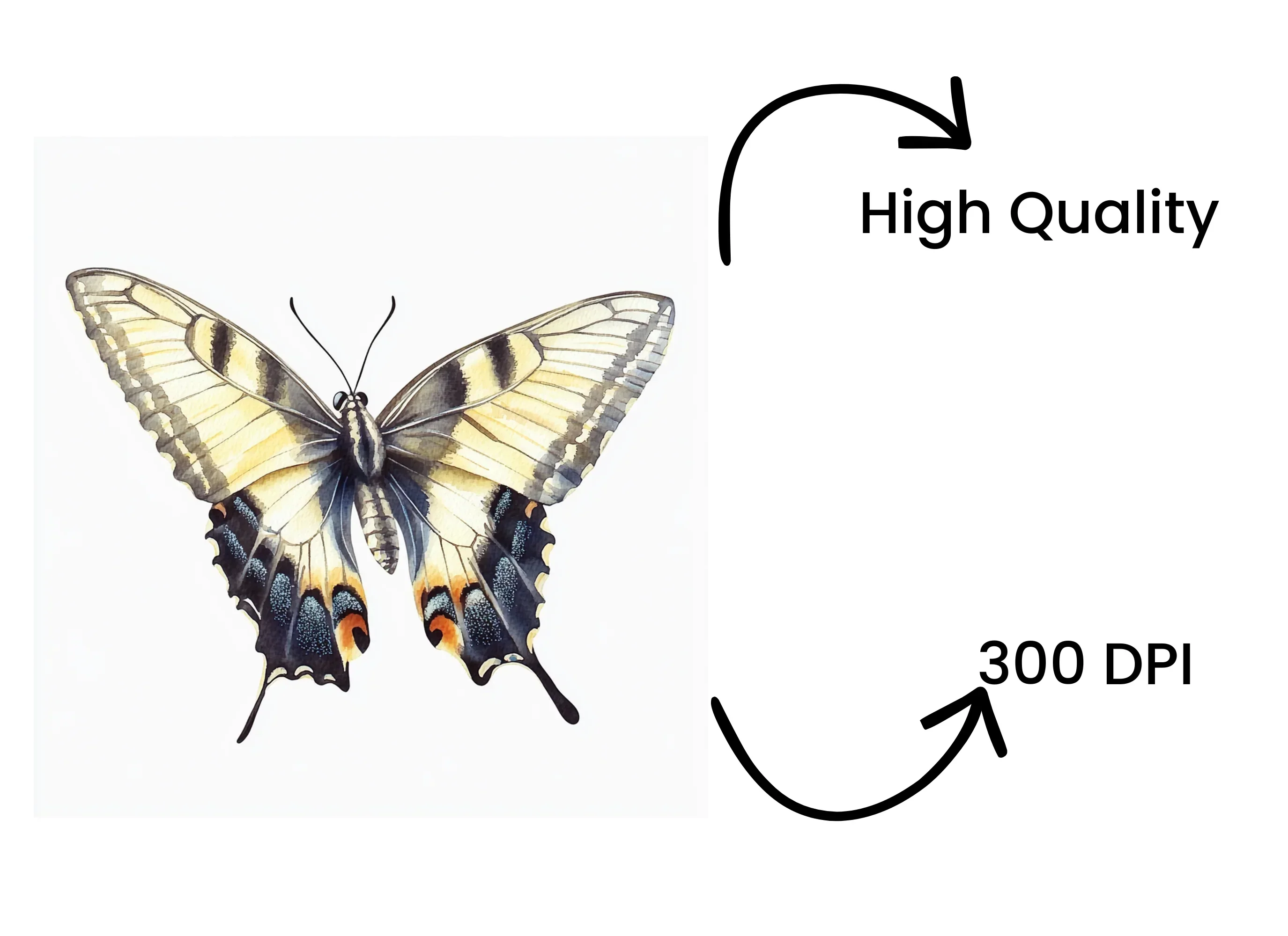 Dynamic Butterfly Clipart Bundle - Image 4
