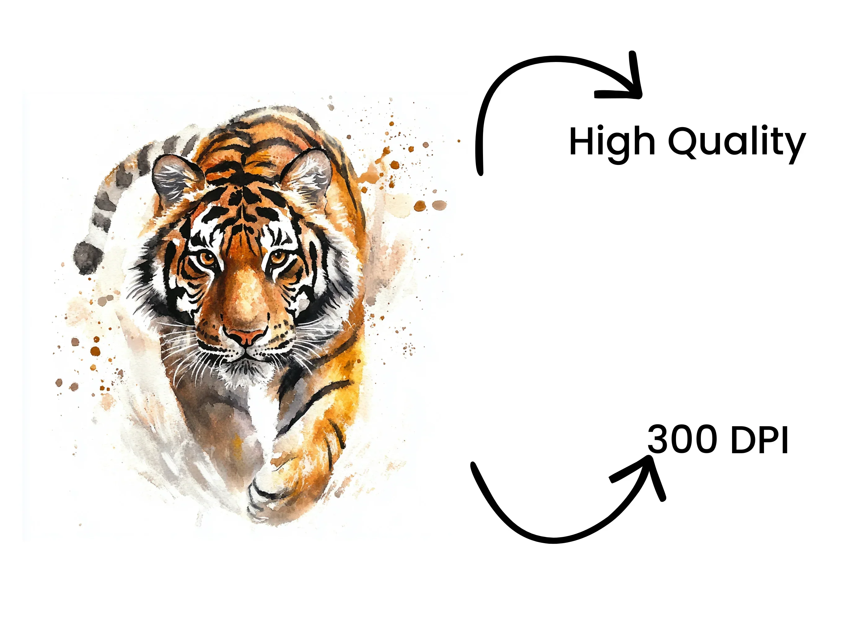 Dynamic Tiger Clipart Bundle - Image 4