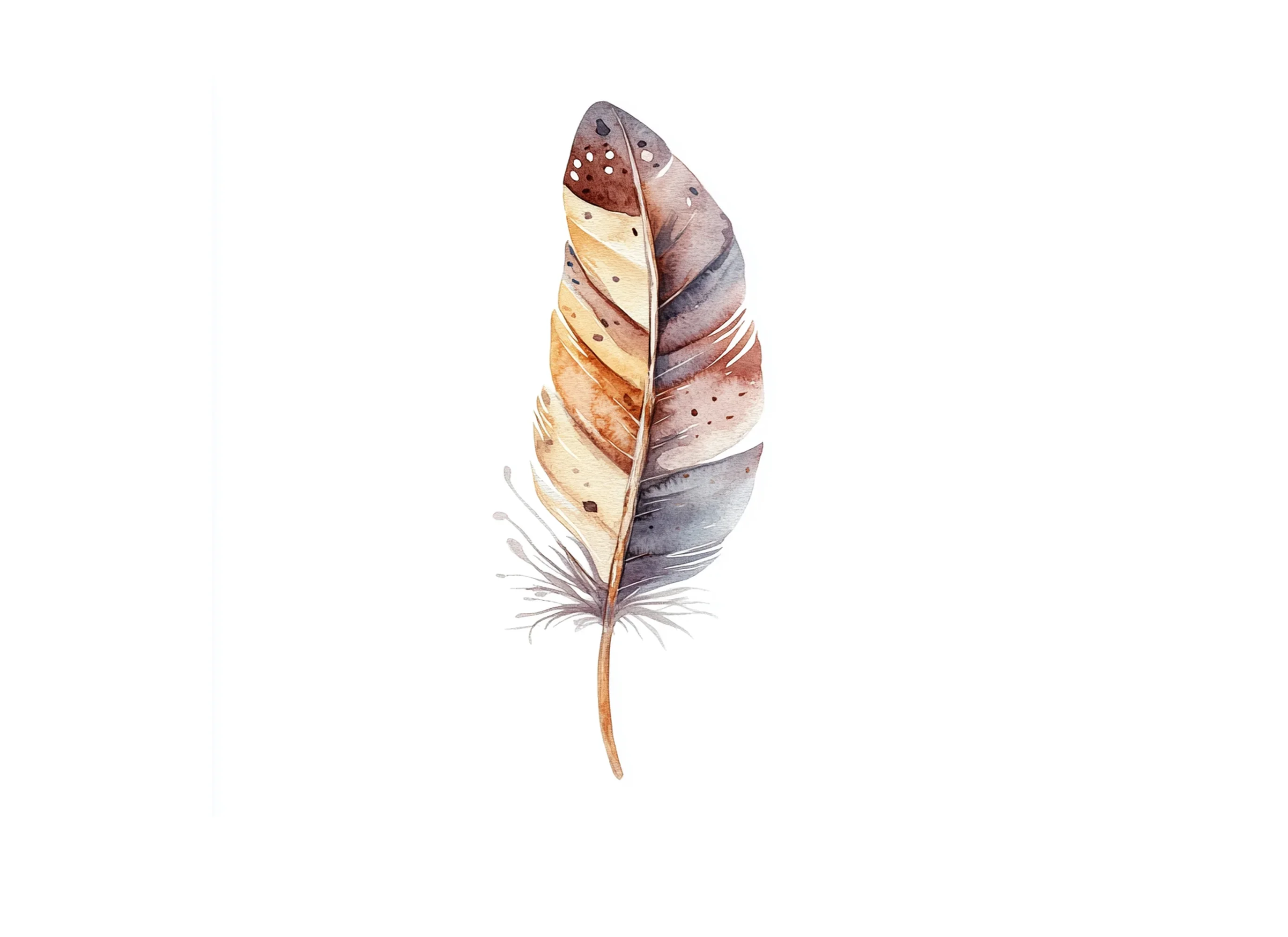 Earthy Toned Feather Clipart Bundle - Image 2