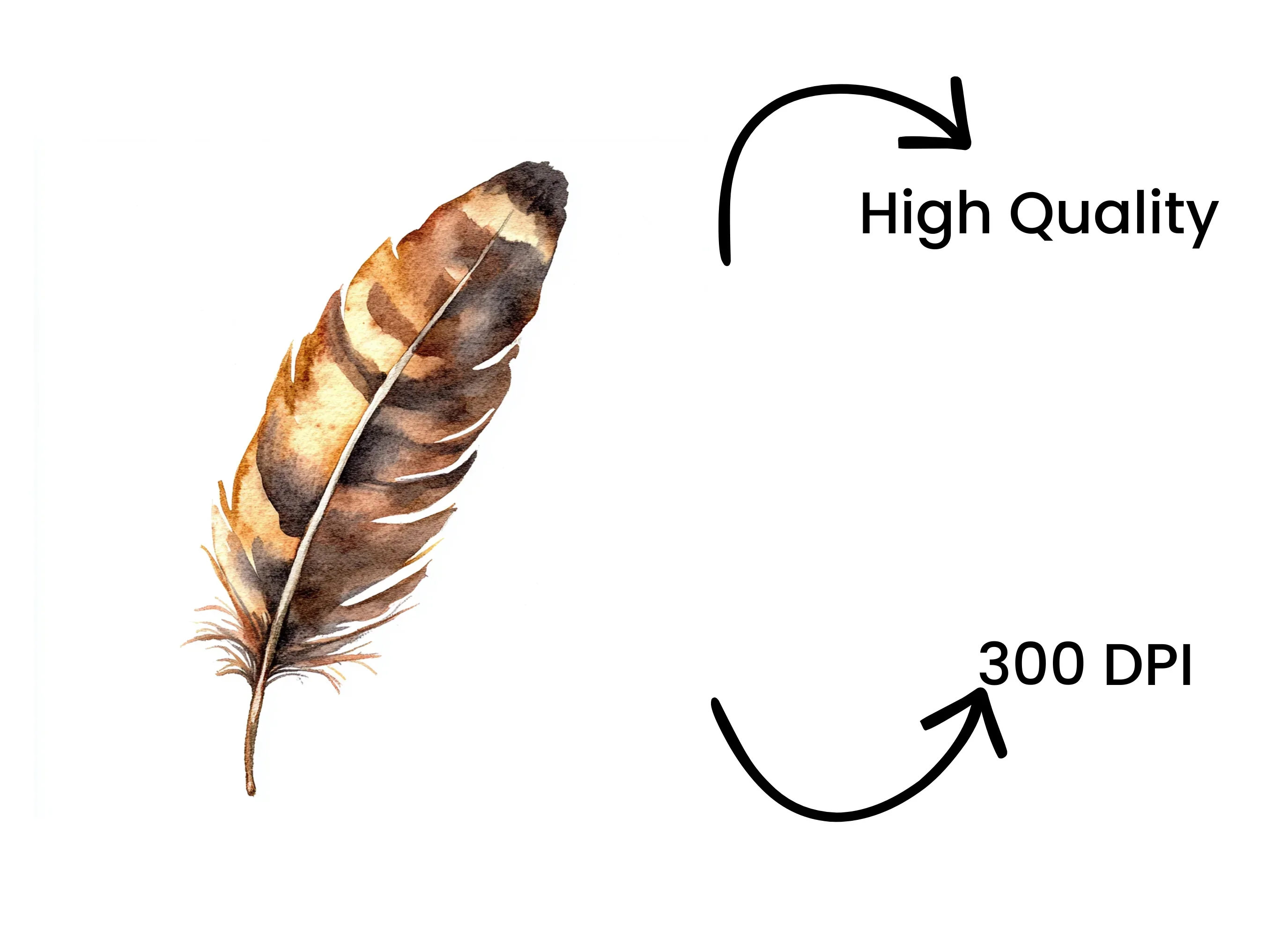Earthy Toned Feather Clipart Bundle - Image 4