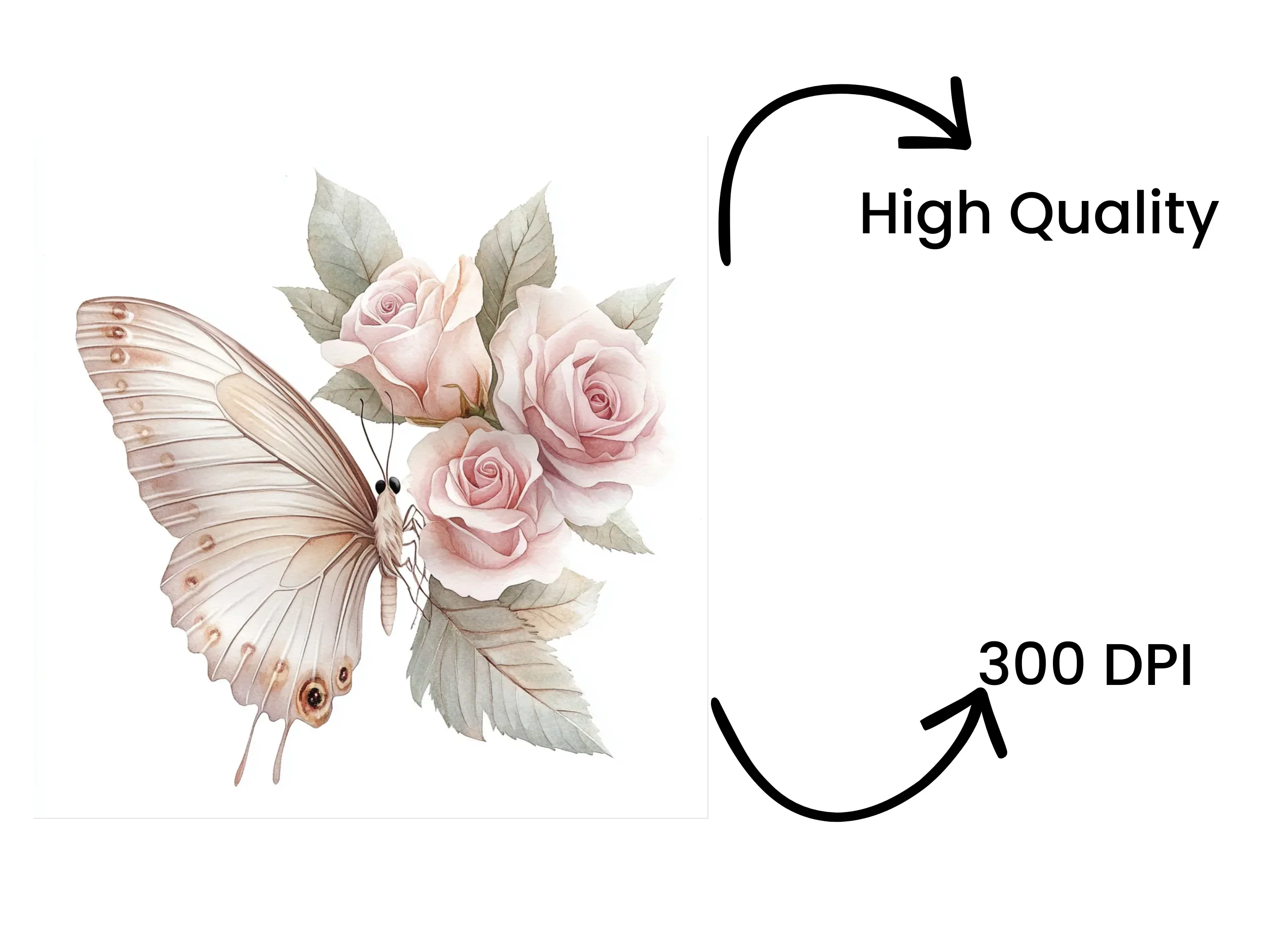 Elegant Butterfly Blush Rose Clipart Bundle - Image 4