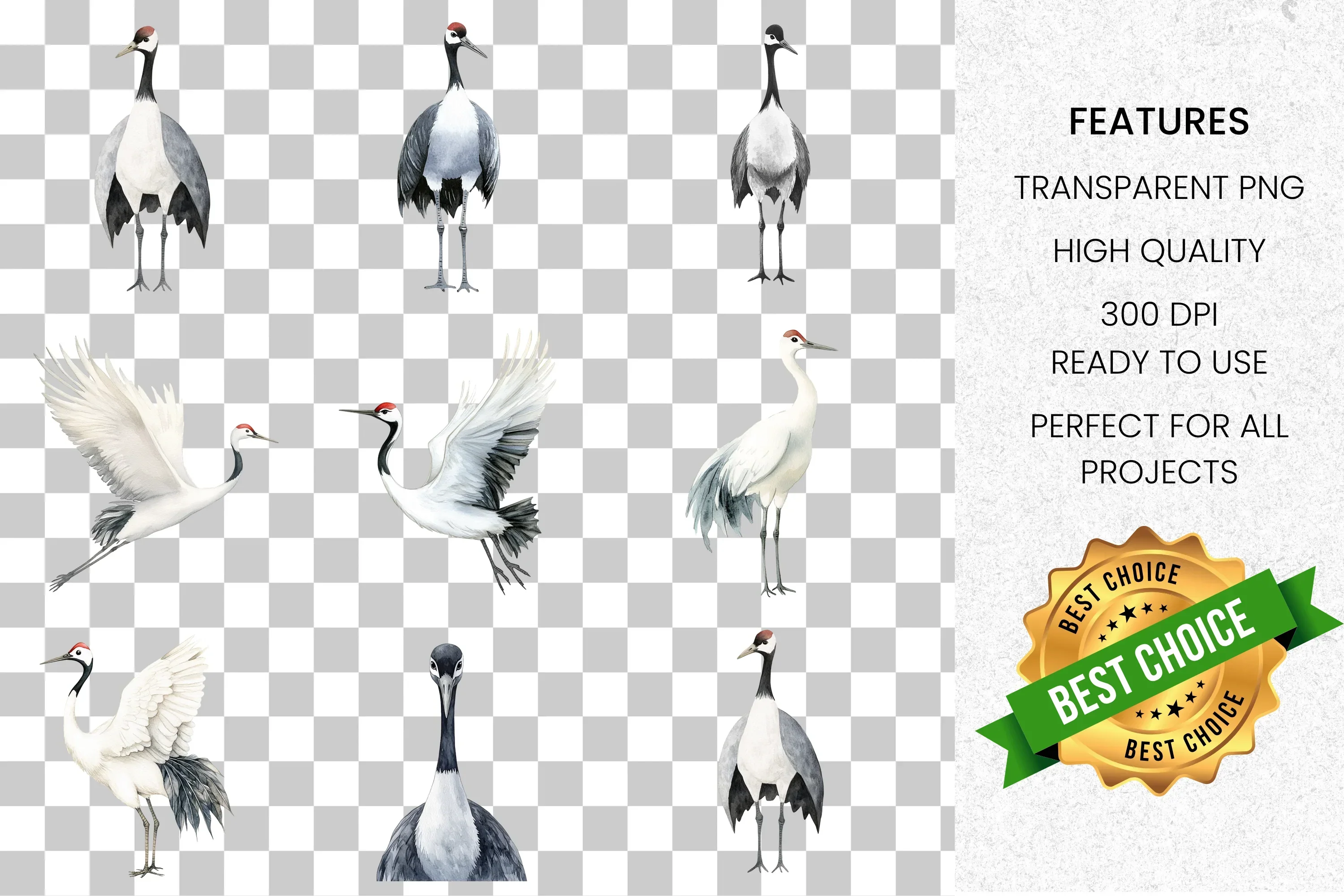 Elegant Crane Bird Clipart Bundle - Image 2