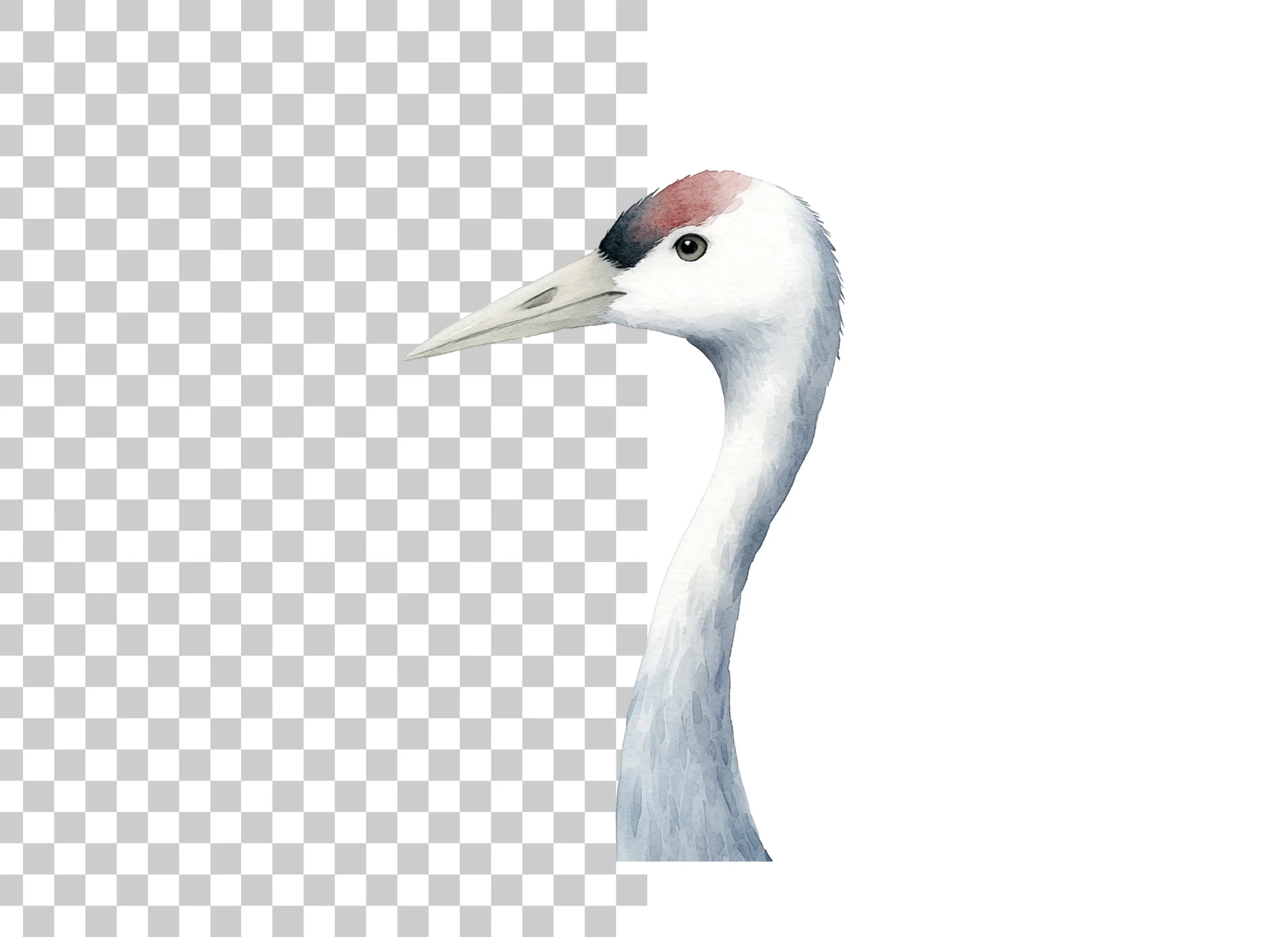 Elegant Crane Bird Head Clipart Bundle - Image 6