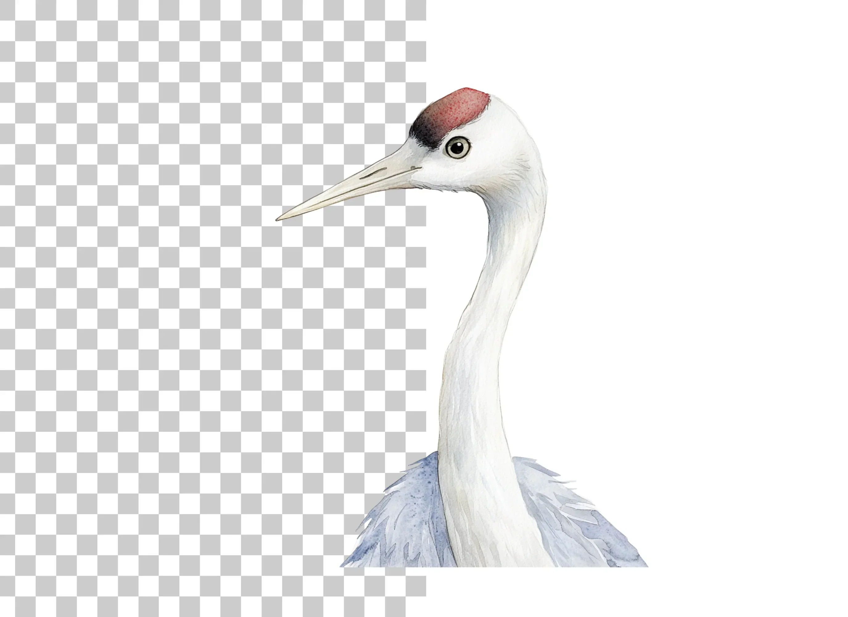 Elegant Crane Heads Clipart Bundle - Image 2