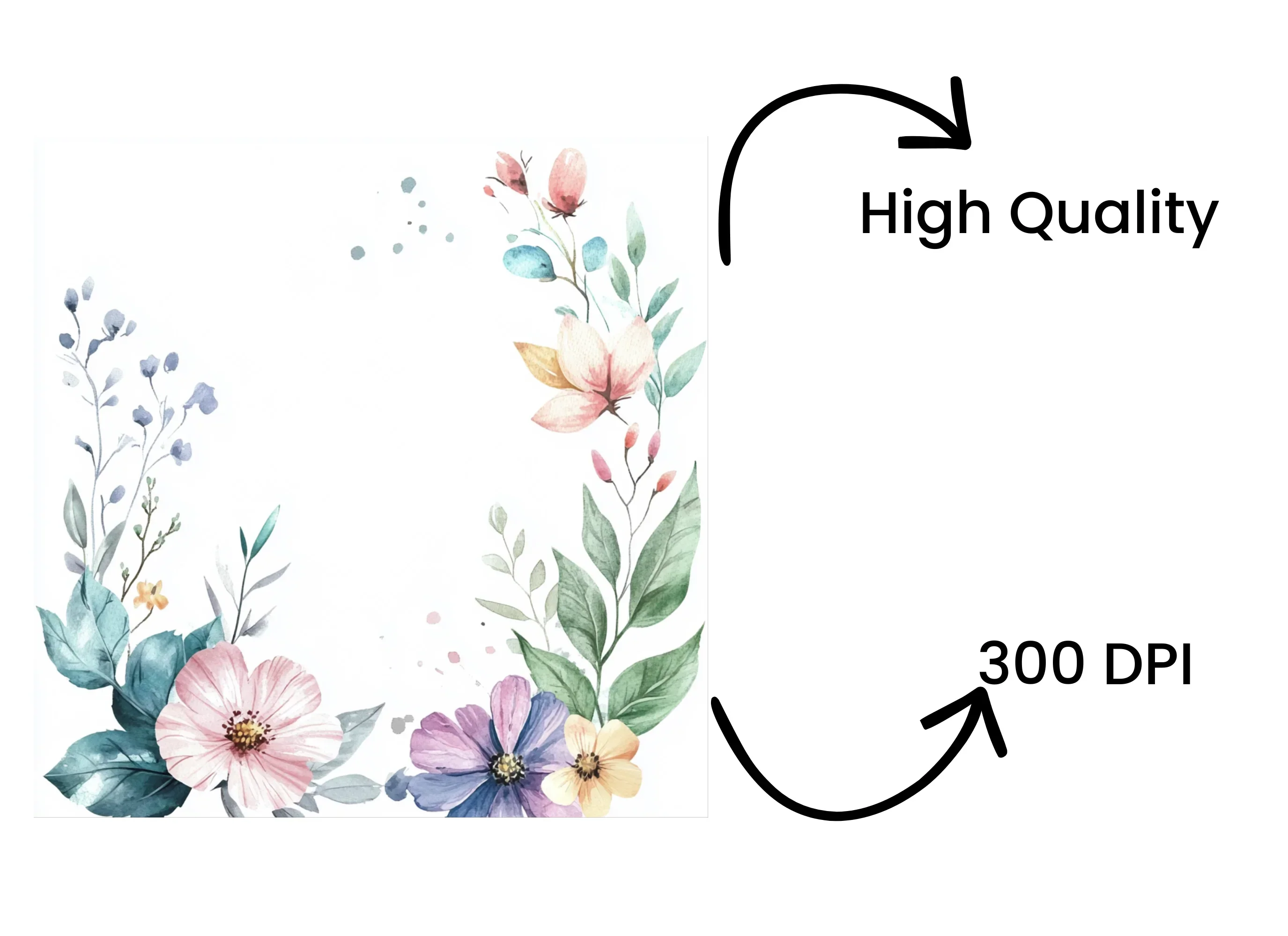Elegant Floral Border Clipart Bundle - Image 4