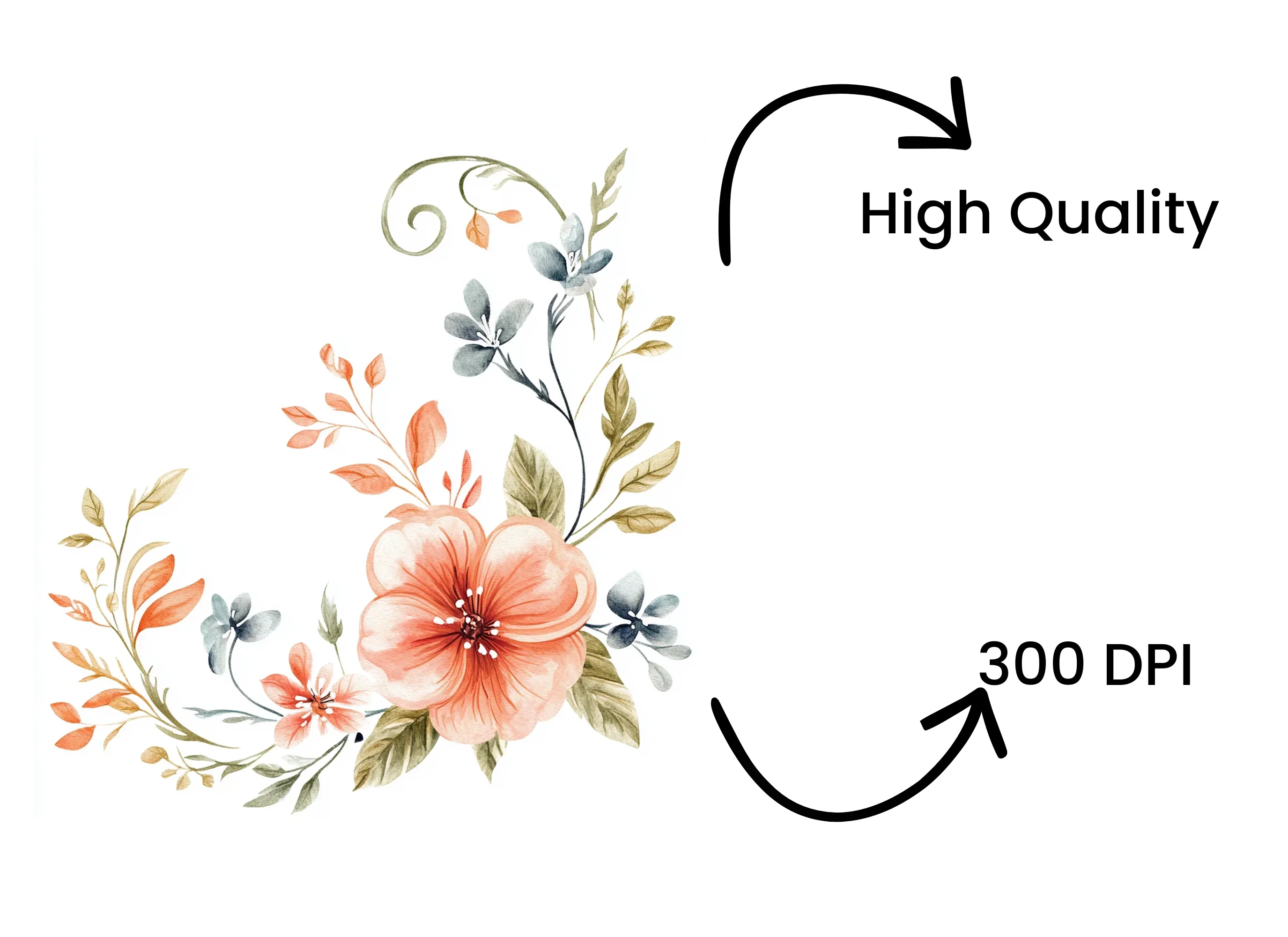 Elegant Floral Swirls Clipart Bundle - Image 4