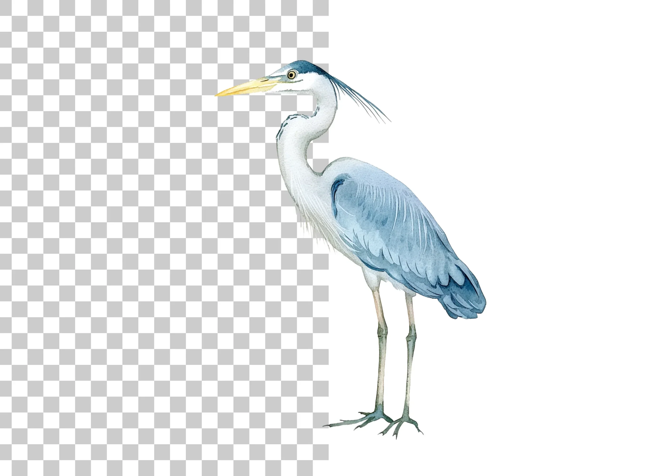 Elegant Grey Heron Bird Clipart Bundle - Image 2