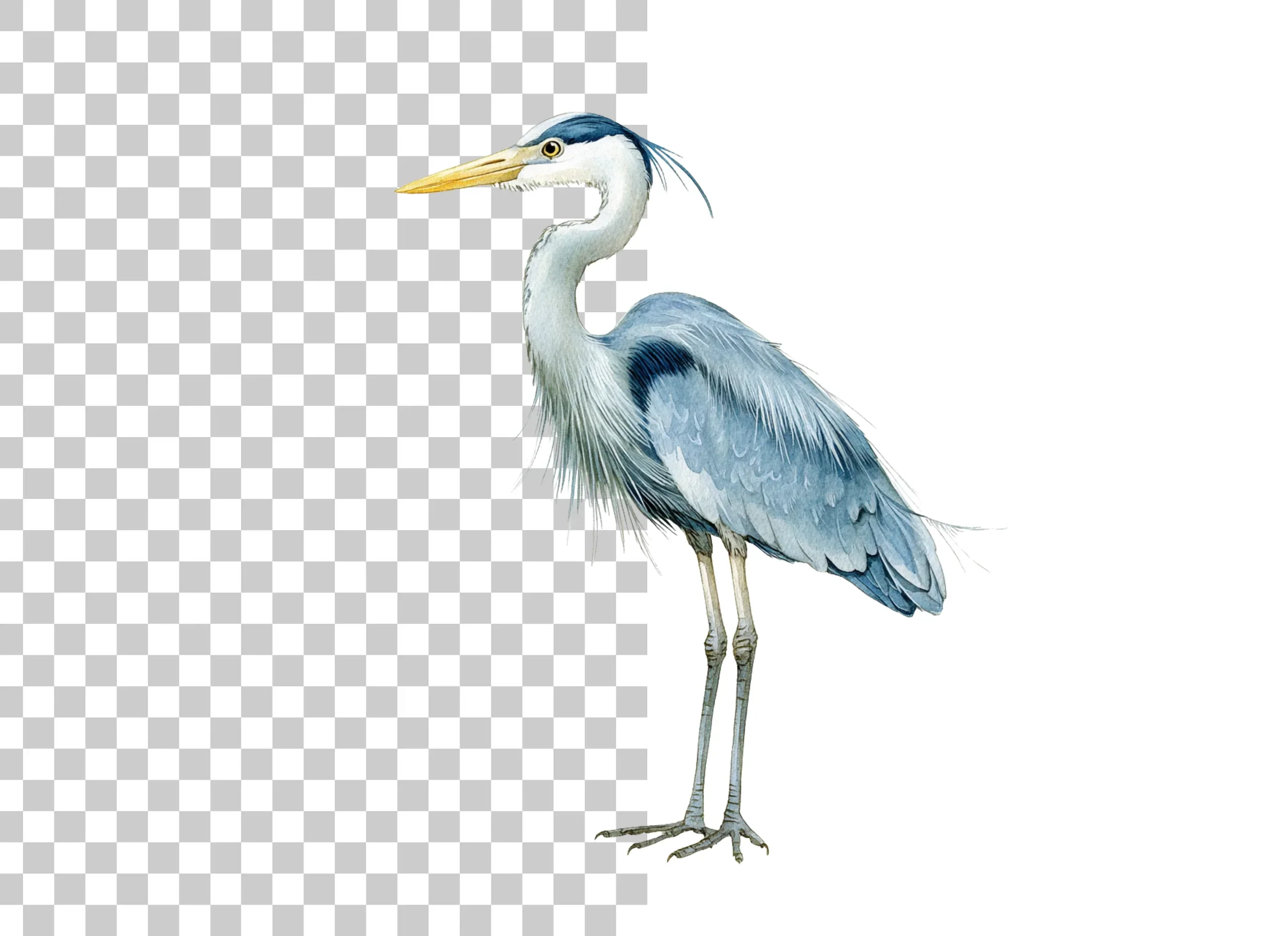 Elegant Heron Bird Clipart Bundle - Image 6