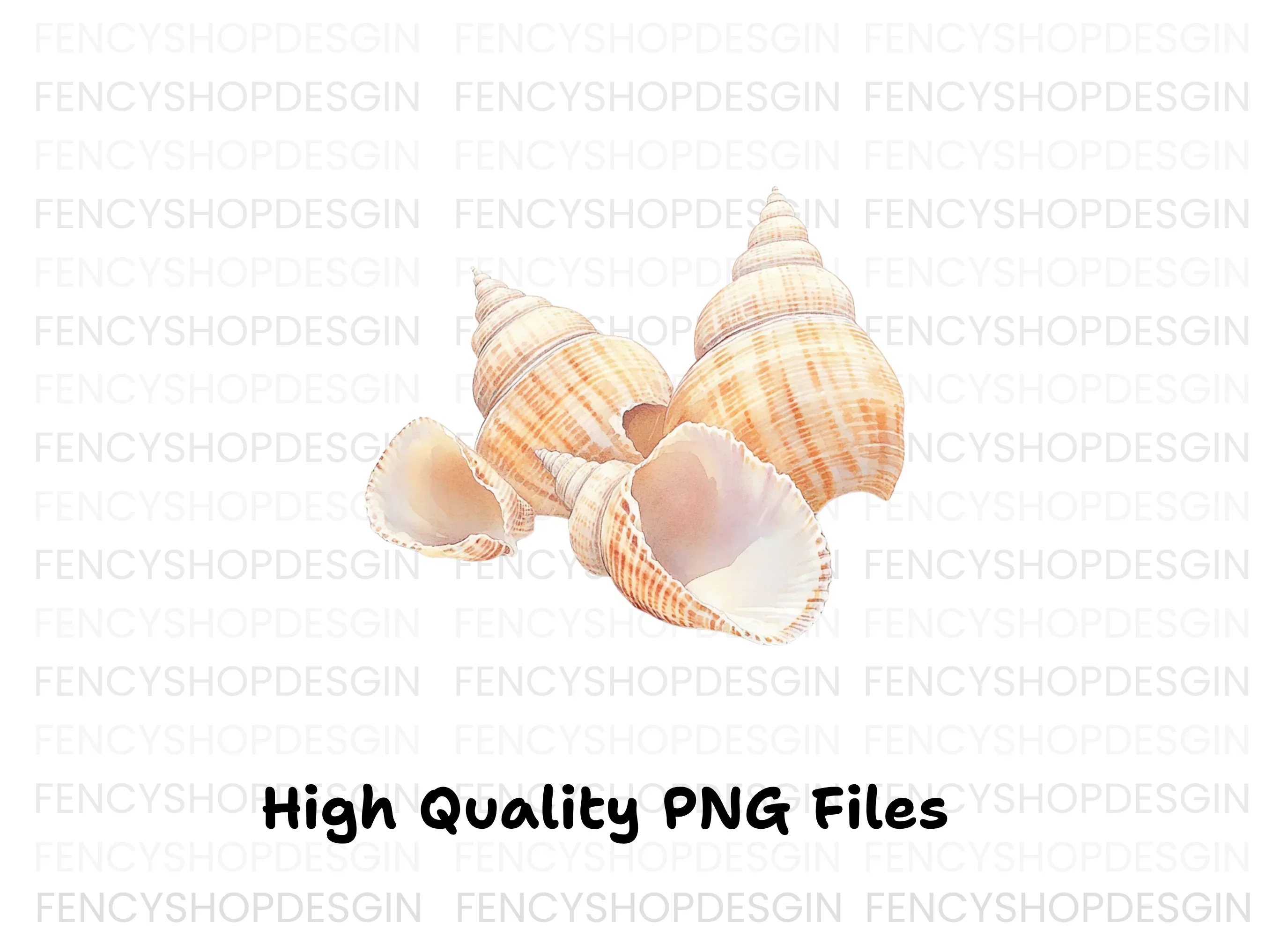 Elegant Seashells Clipart Bundle - Image 3