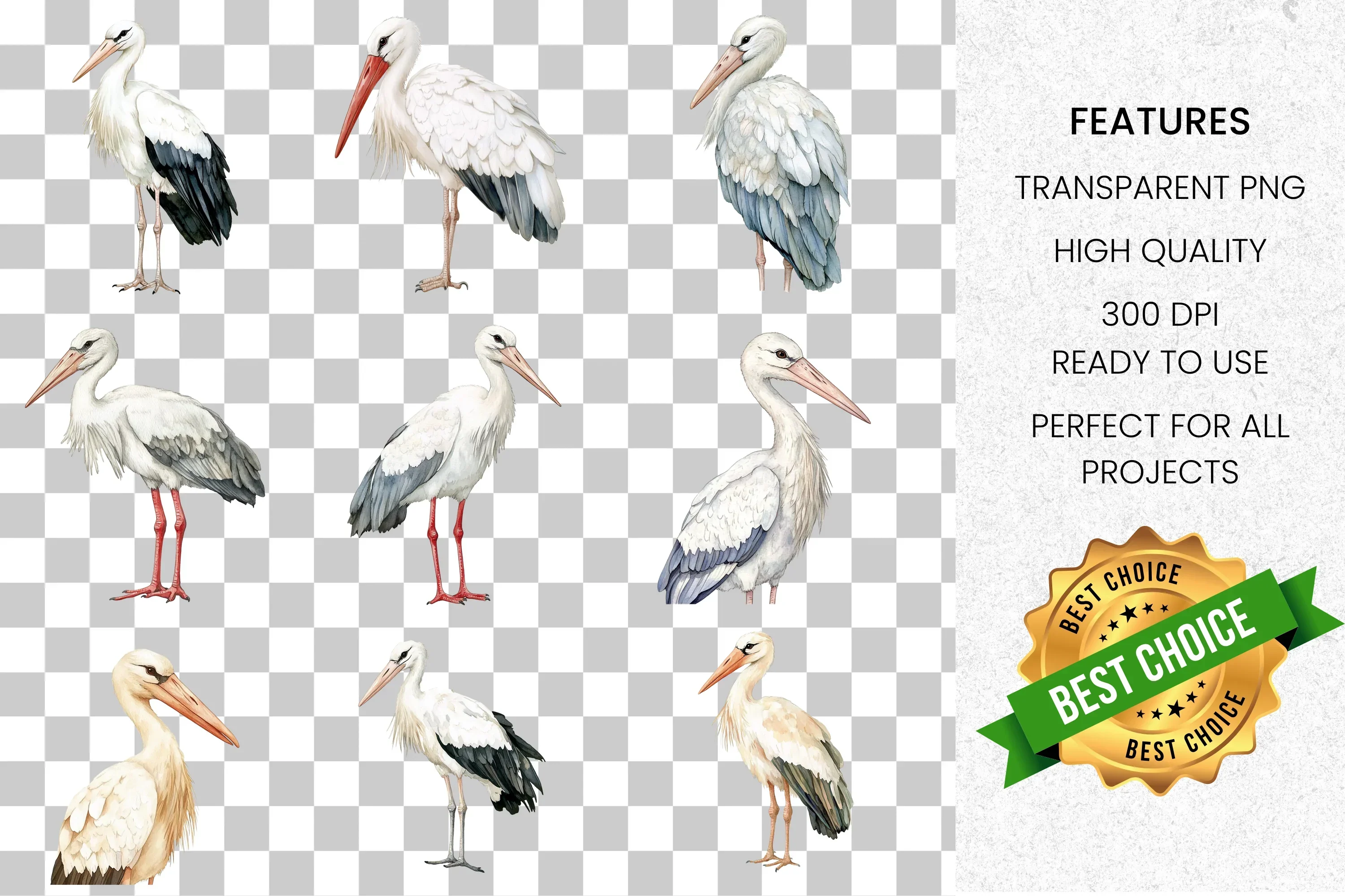 Elegant Stork Bird Clipart Bundle - Image 2