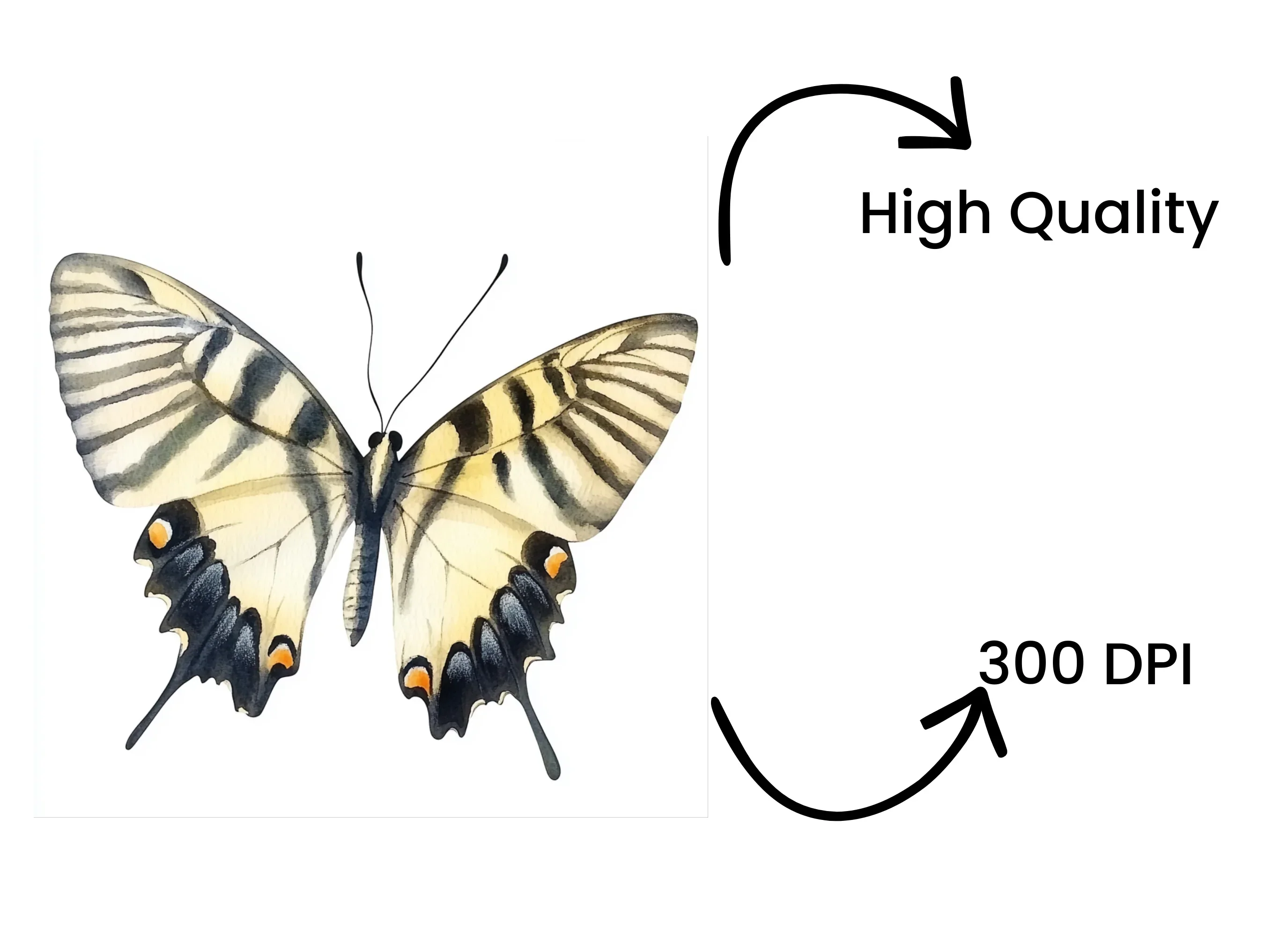 Elegant Swallowtail Butterfly Clipart Bundle - Image 4