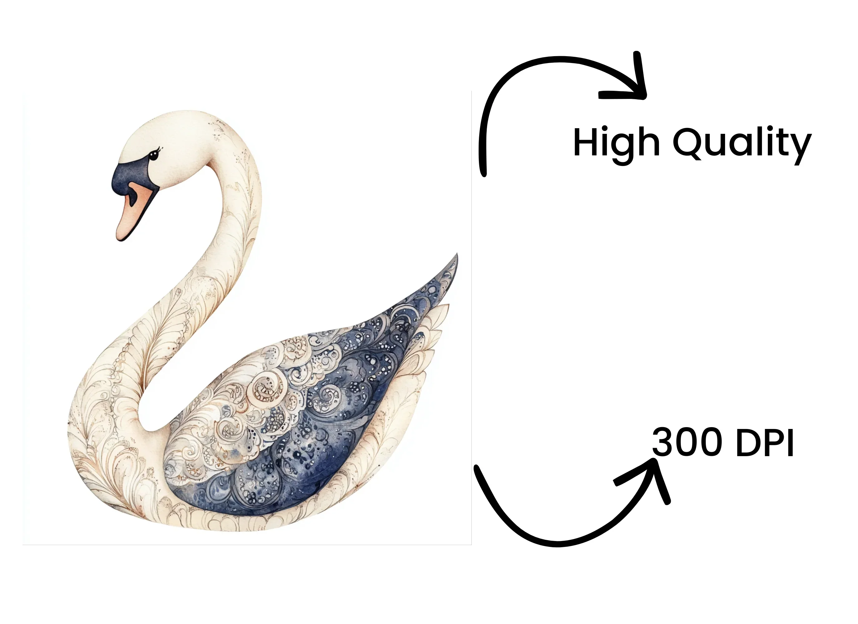 Elegant Swan Clipart Bundle - Image 4