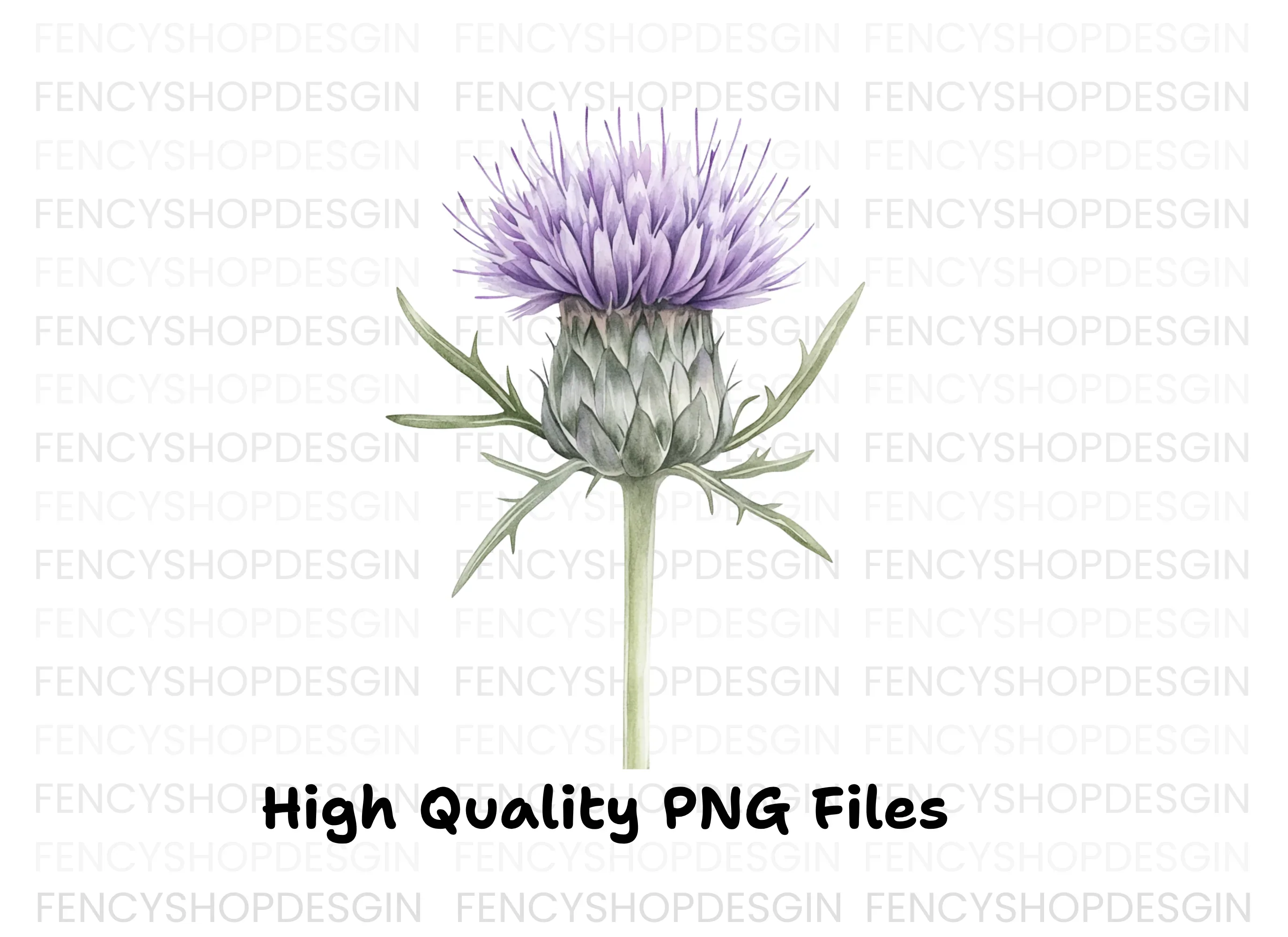 Elegant Thistle Bloom Clipart Bundle - Image 2