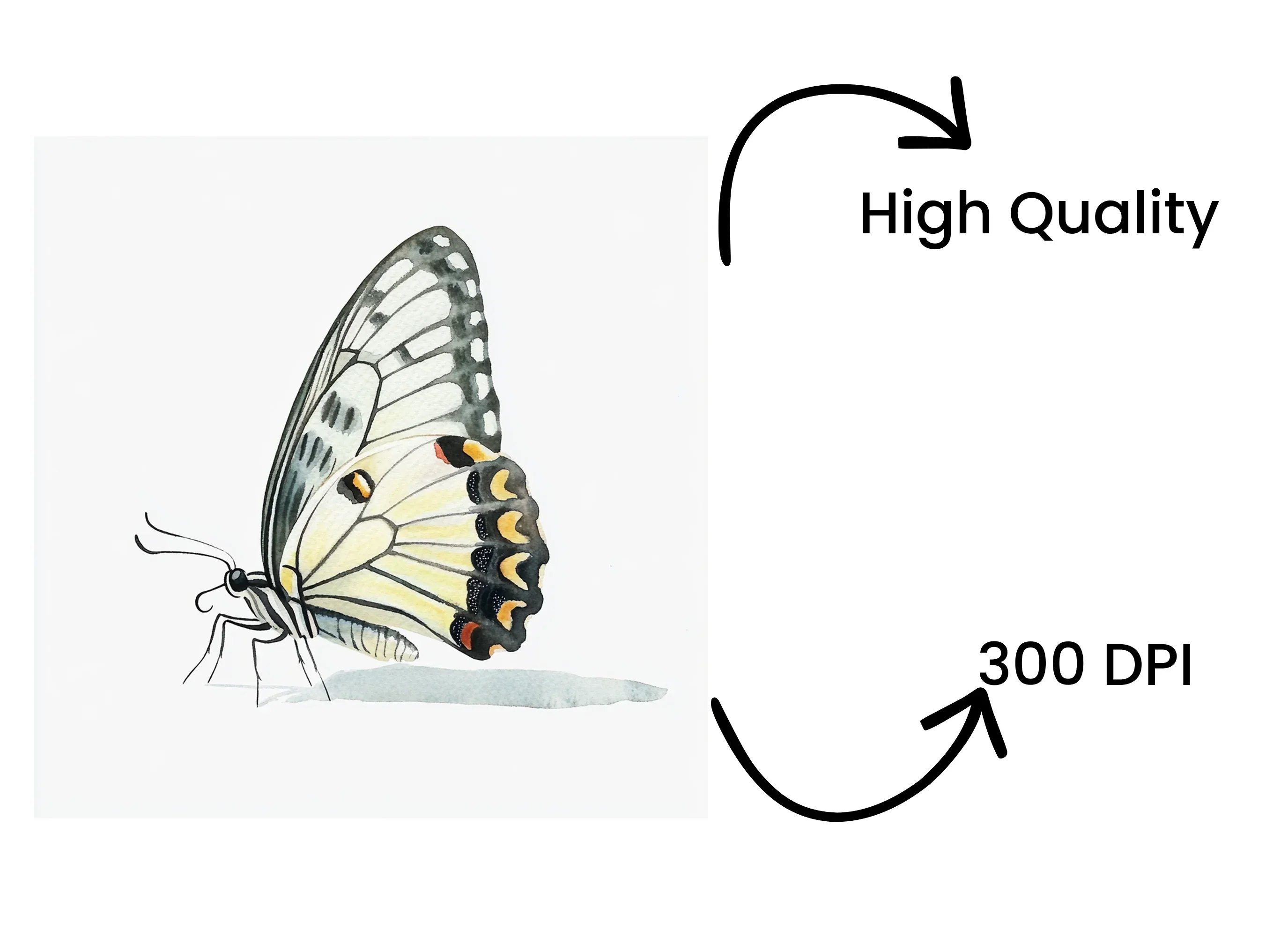 Elegant White Butterfly Clipart Bundle - Image 4