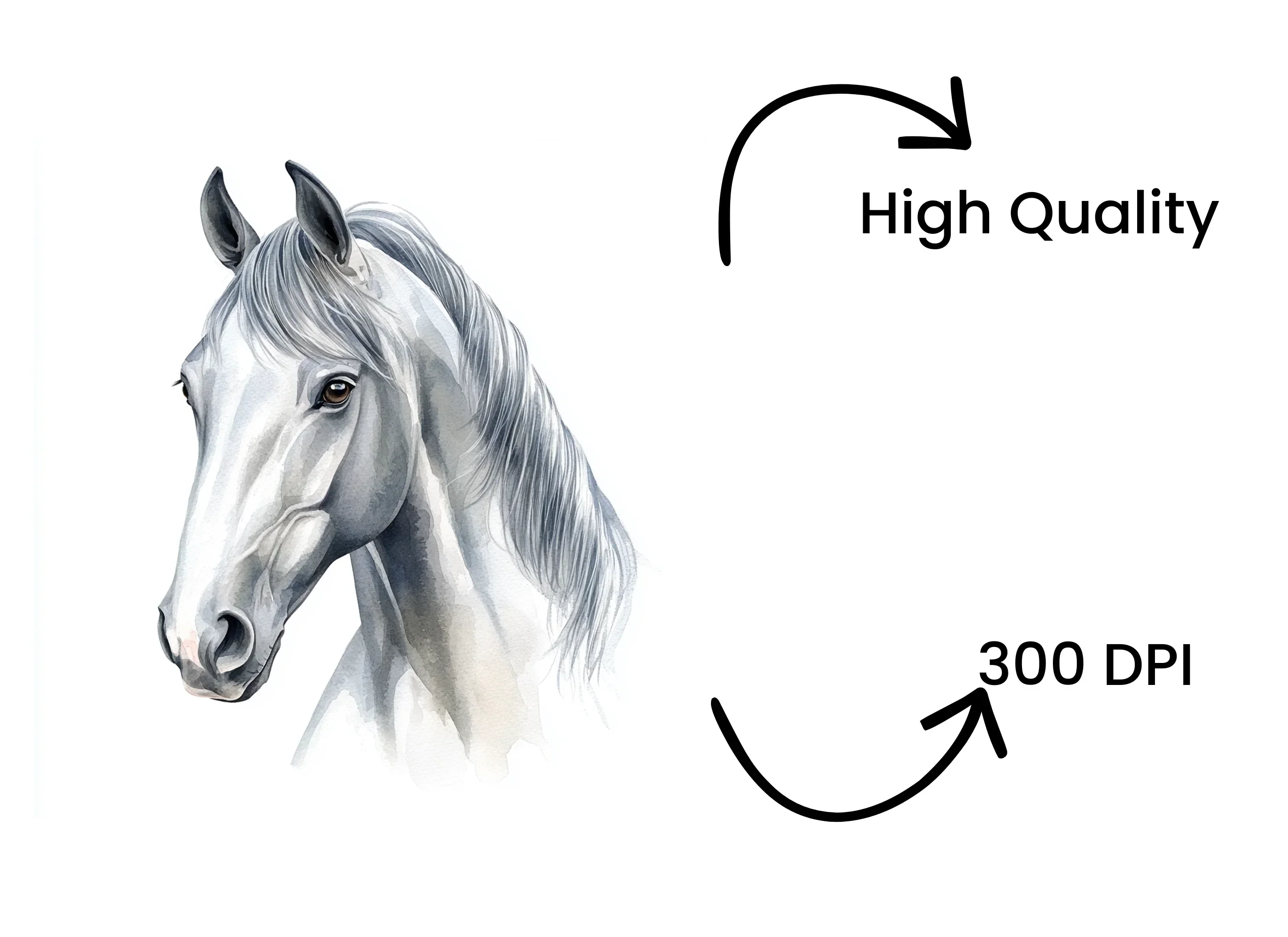 Elegant White Horse Clipart Bundle - Image 4