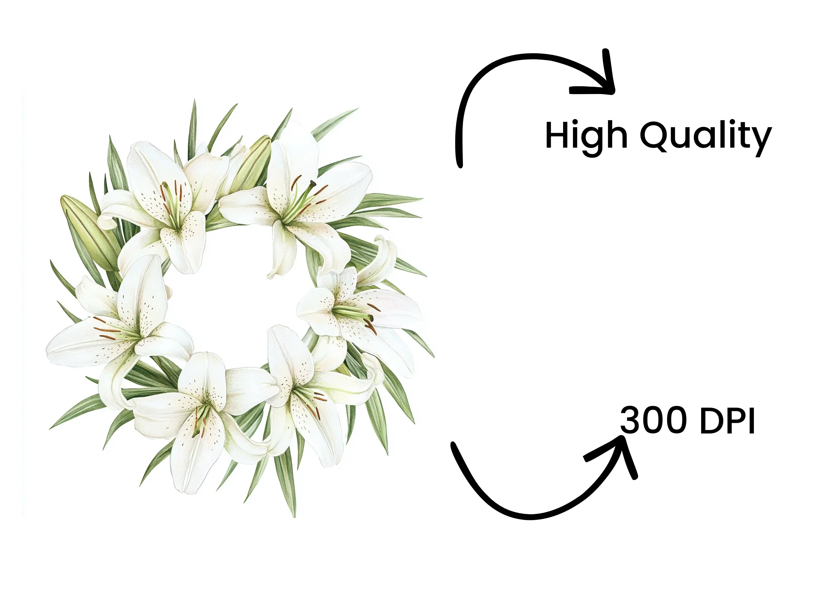 Elegant White Lily Wreaths Clipart Bundle - Image 4