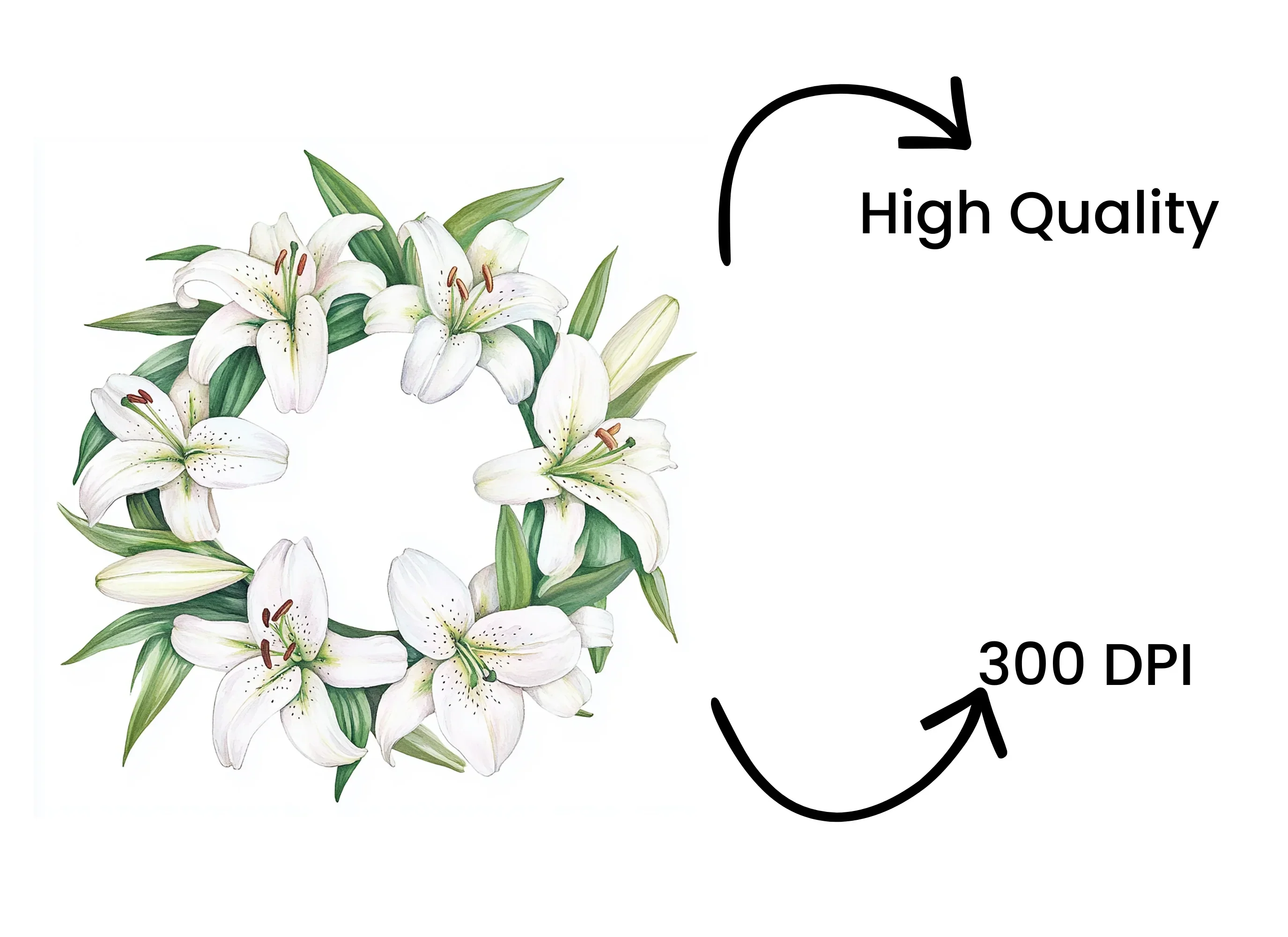 Elegant White Lily Wreaths Clipart Bundle - Image 4
