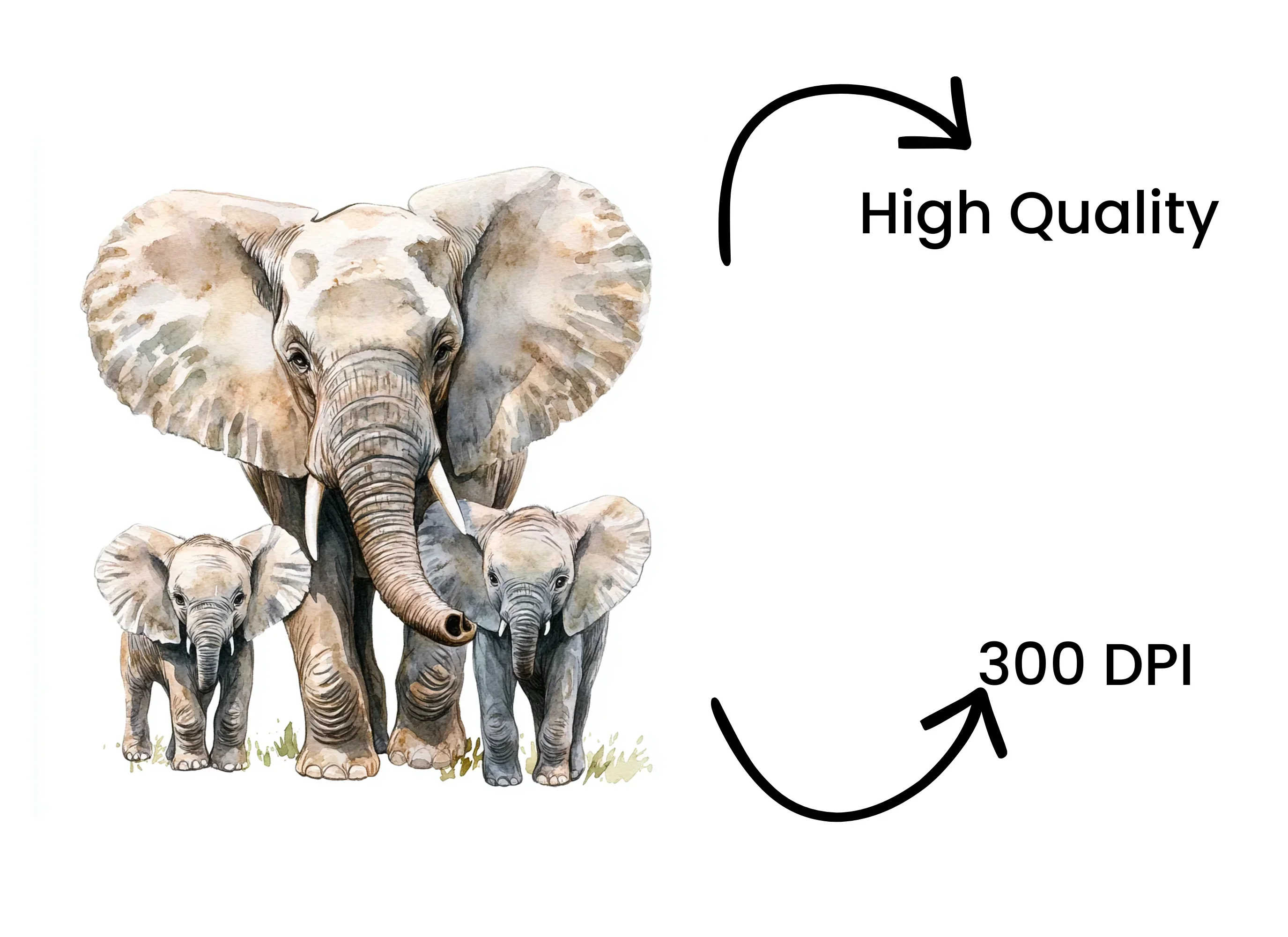 Elephant Family Clipart Bundle - Image 4