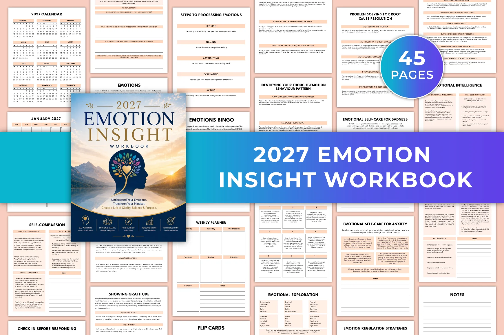 Emotion Insight Workbook
