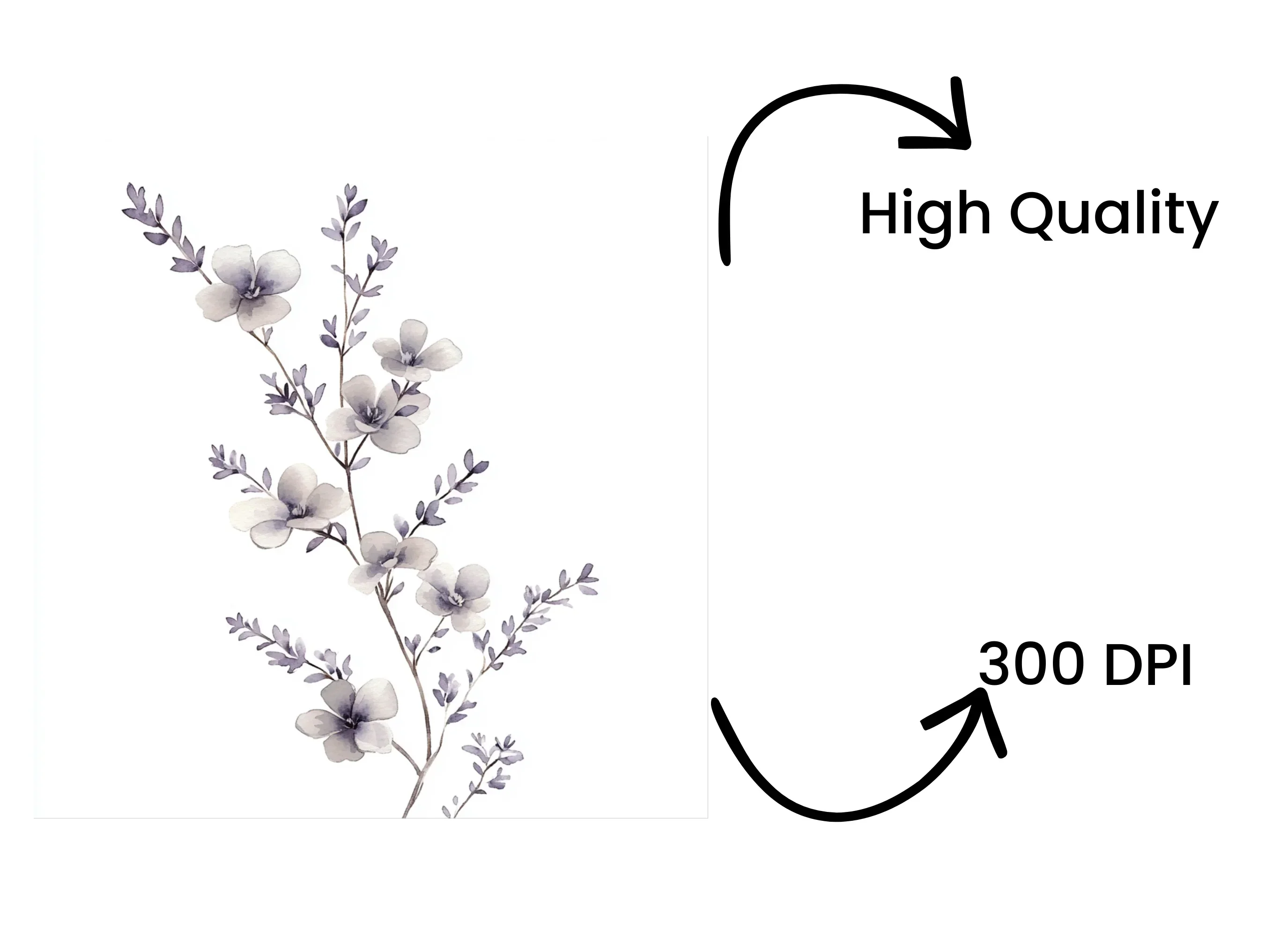 Eucalyptus and Lavender Clipart Bundle - Image 4
