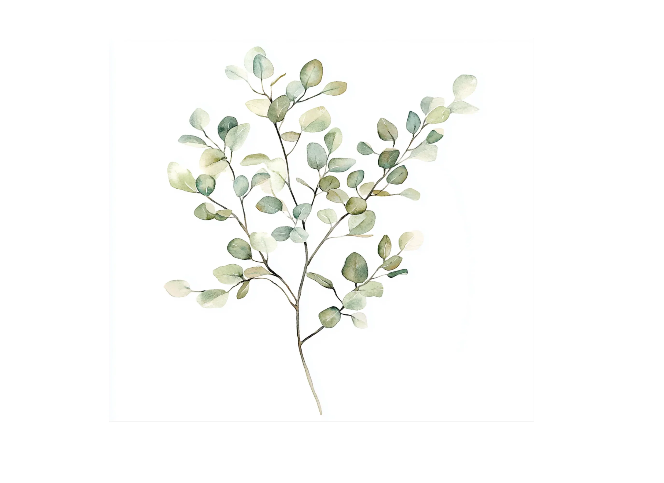 Eucalyptus Leaves Clipart Bundle - Image 3