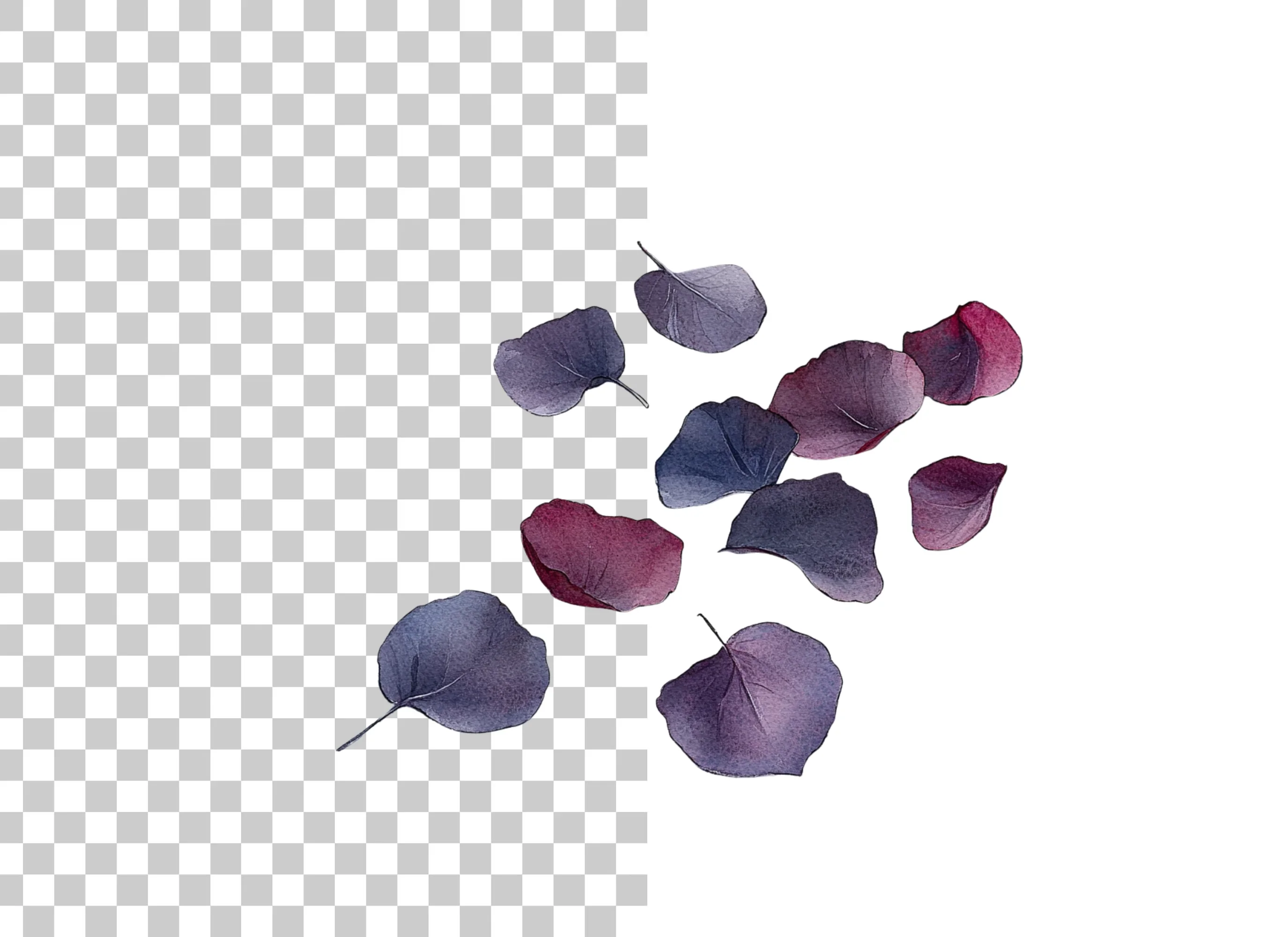 Eucalyptus Leaves Clipart Bundle - Image 2